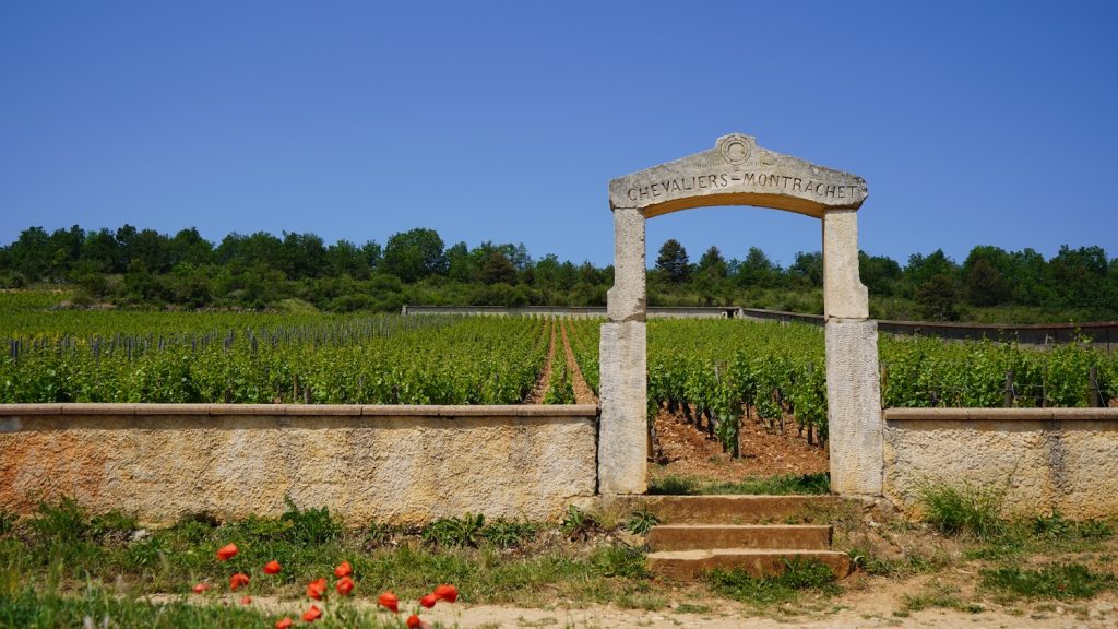 Doe de mooiste wijnroute door de Bourgogne: de Route des Grands Crus