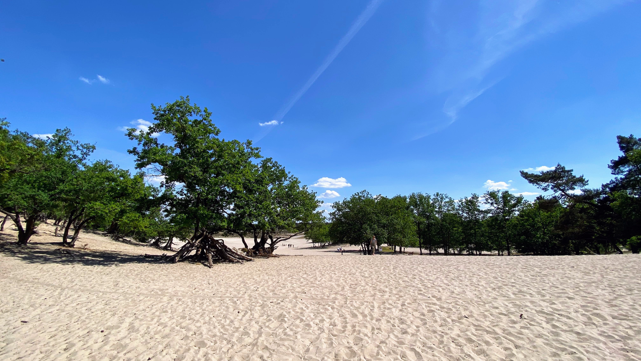 De Nederlandse Sahara in Brabant