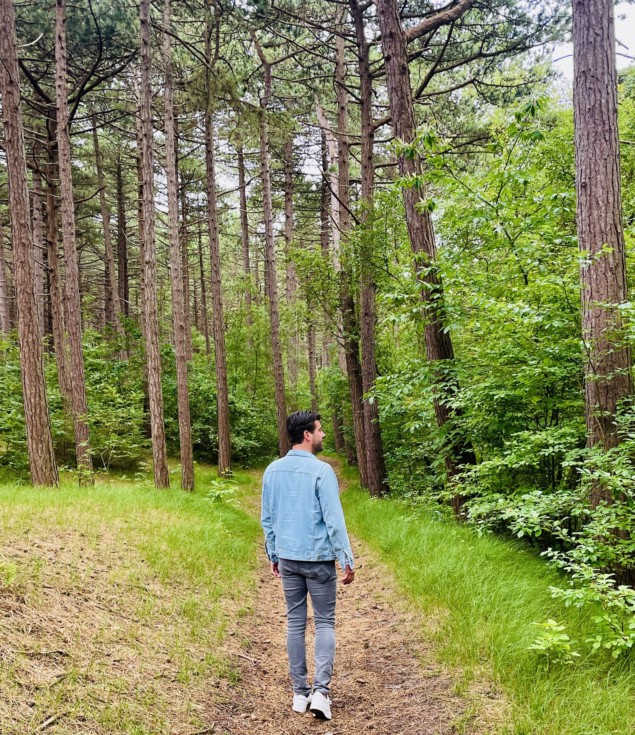 Texel heeft 2 bosgebieden: het Dennenbos en het Krimbos. Fijne plekken om een flinke wandeling te maken!