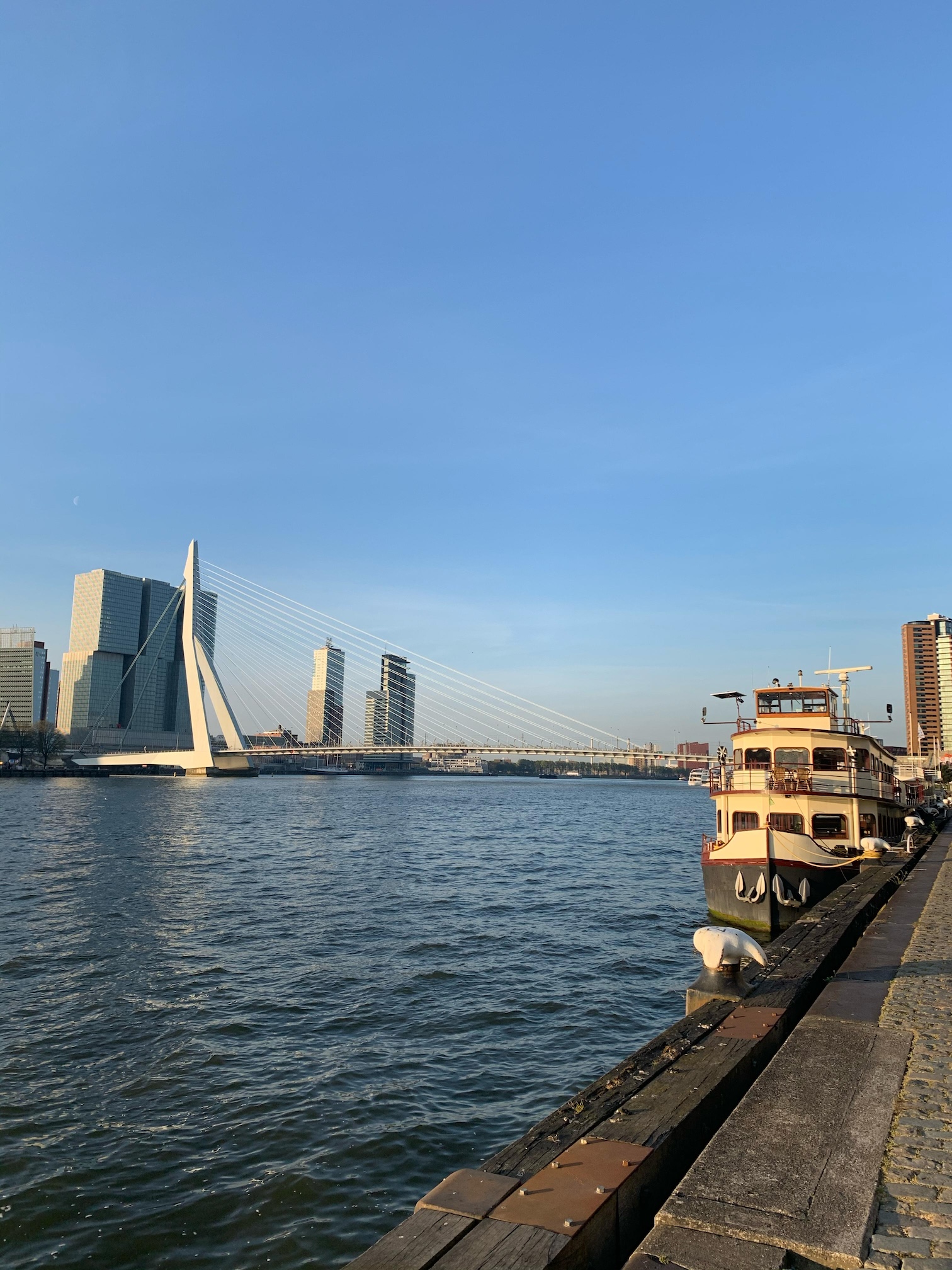 De beroemde skyline van Rotterdam