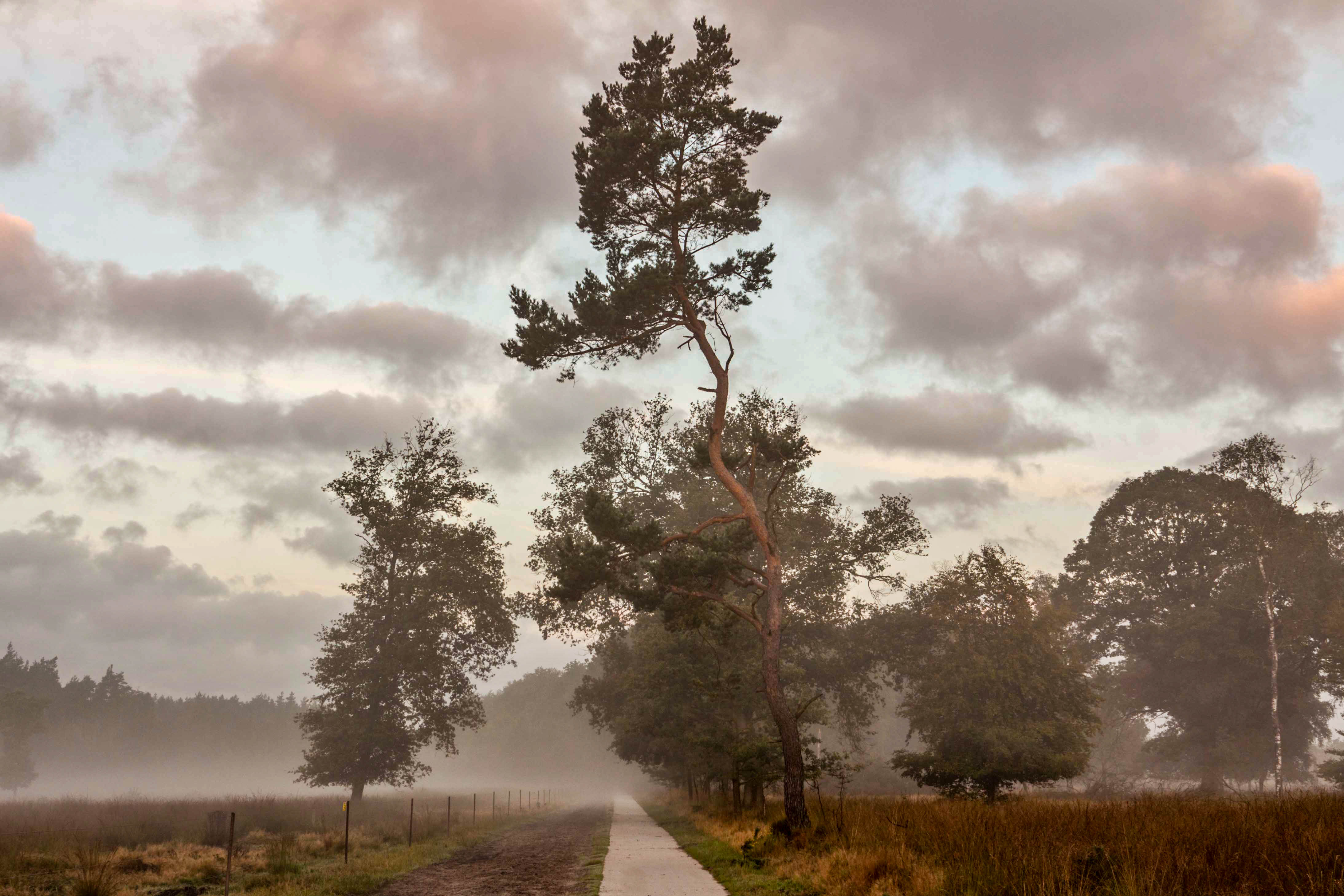 Zet wandelen op de Veluwe op je bucketlist voor Nederland