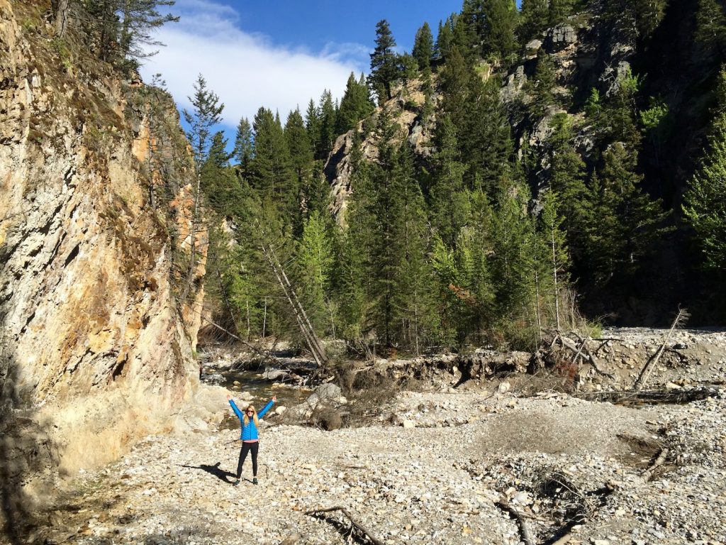 Hiken in de Canadese bossen