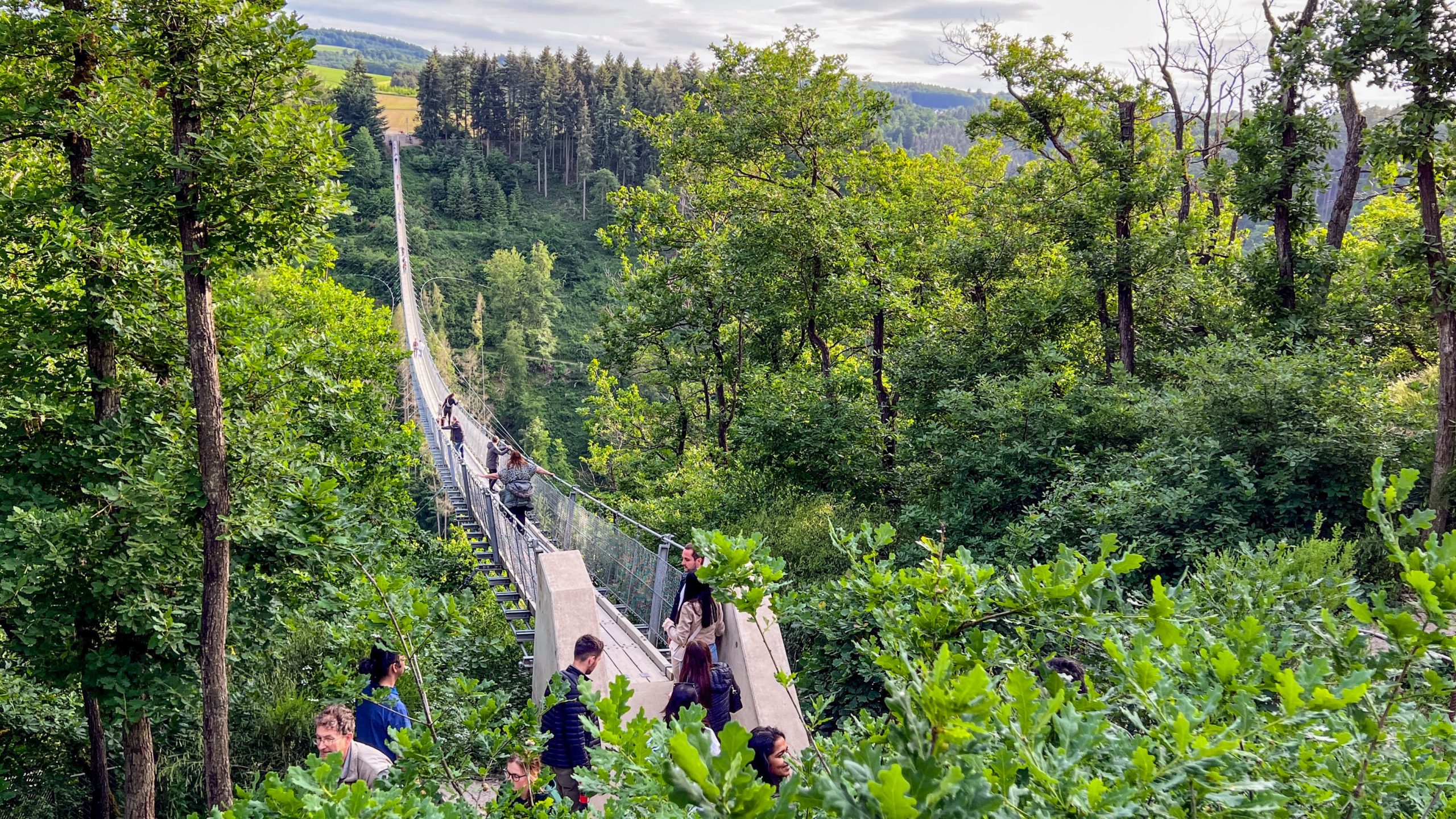 De beroemde Geierlay hangbrug in de Eifel