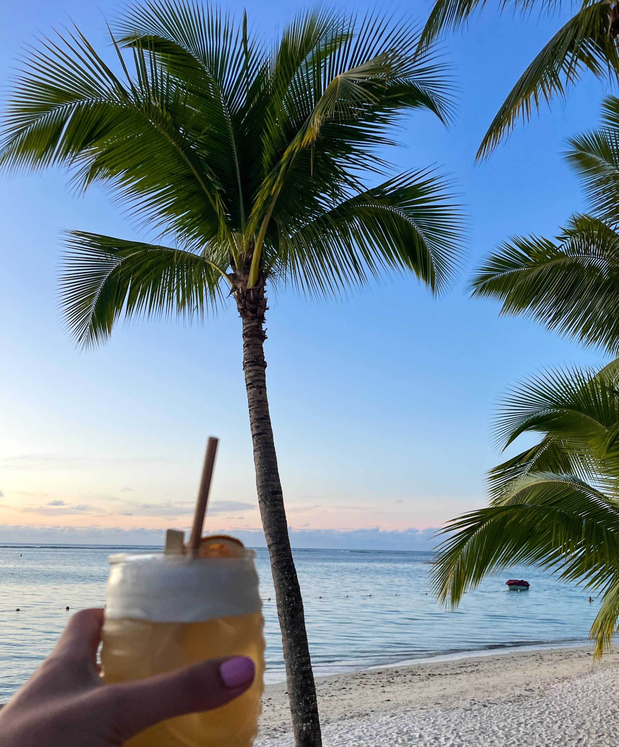 Mauritius is een echte droombestemming