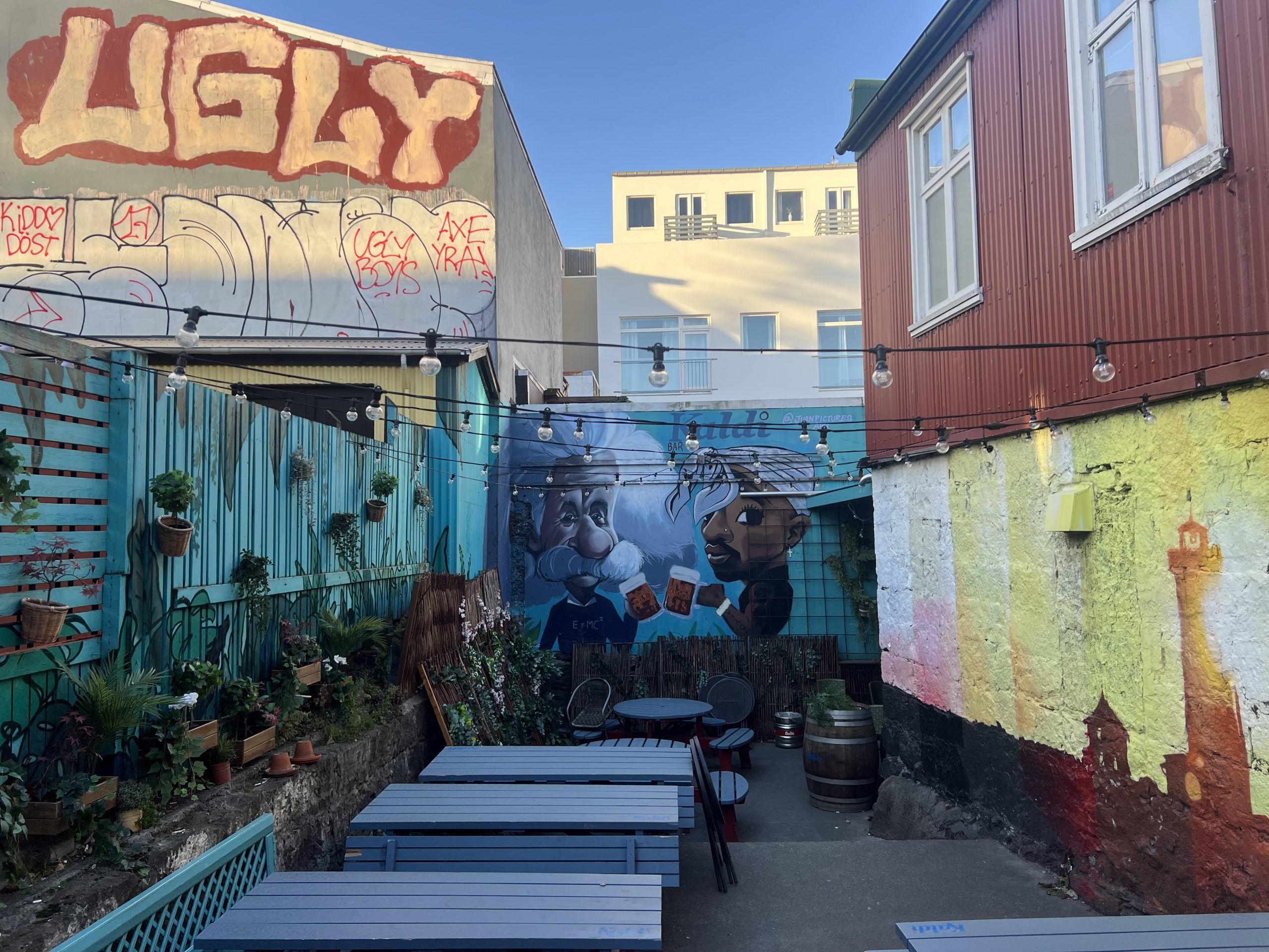 Reykjavik zit vol met street art en leuke restaurantjes