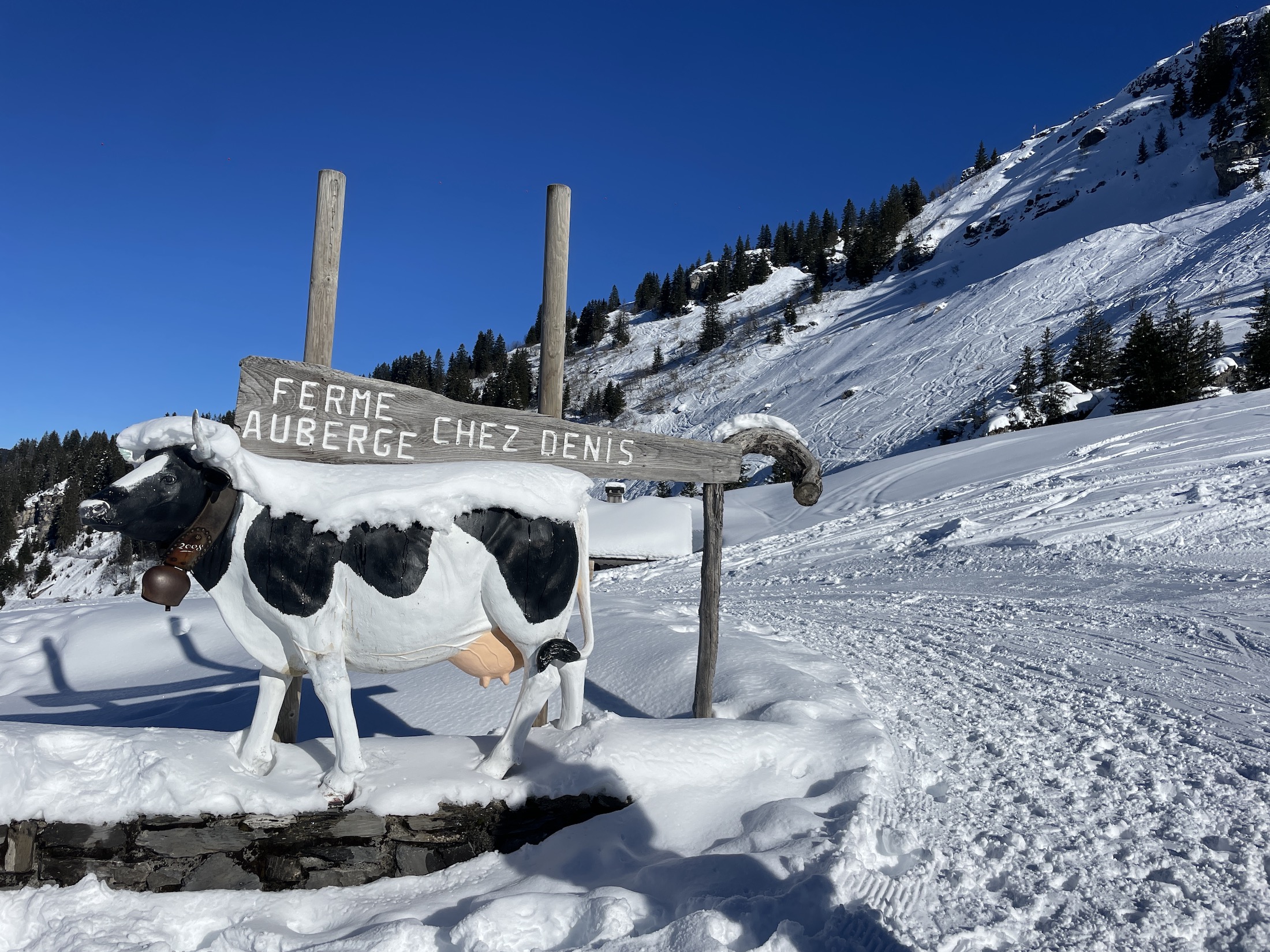 De samenwerking tussen landbouw en skigebied zorgt voor het behoud van het gebied.