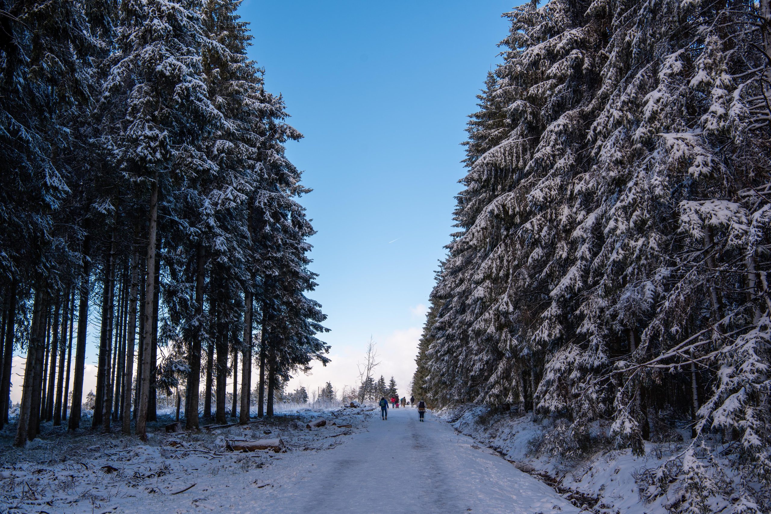 De Hoge Venen in de winter: magisch mooi