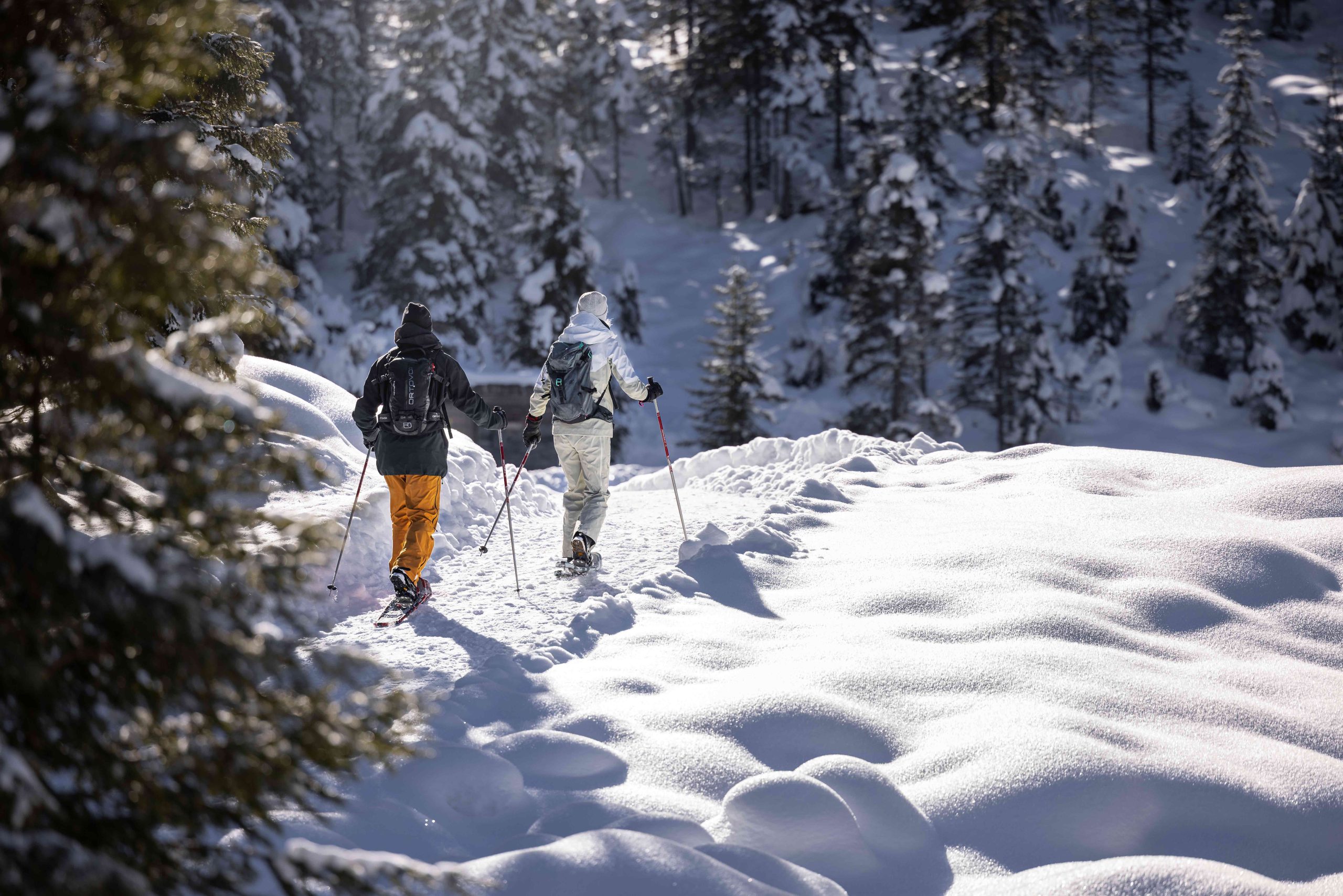 De perfecte plek voor een mooie sneeuwschoenwandeling