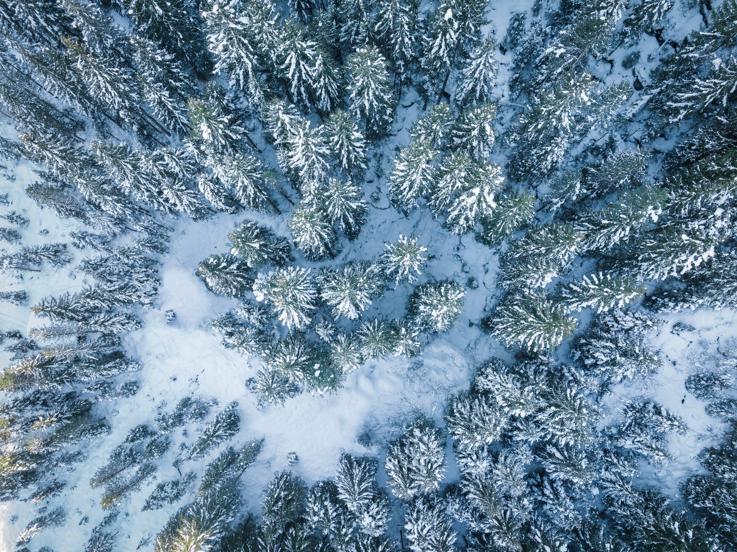 Een onaangetast winterlandschap