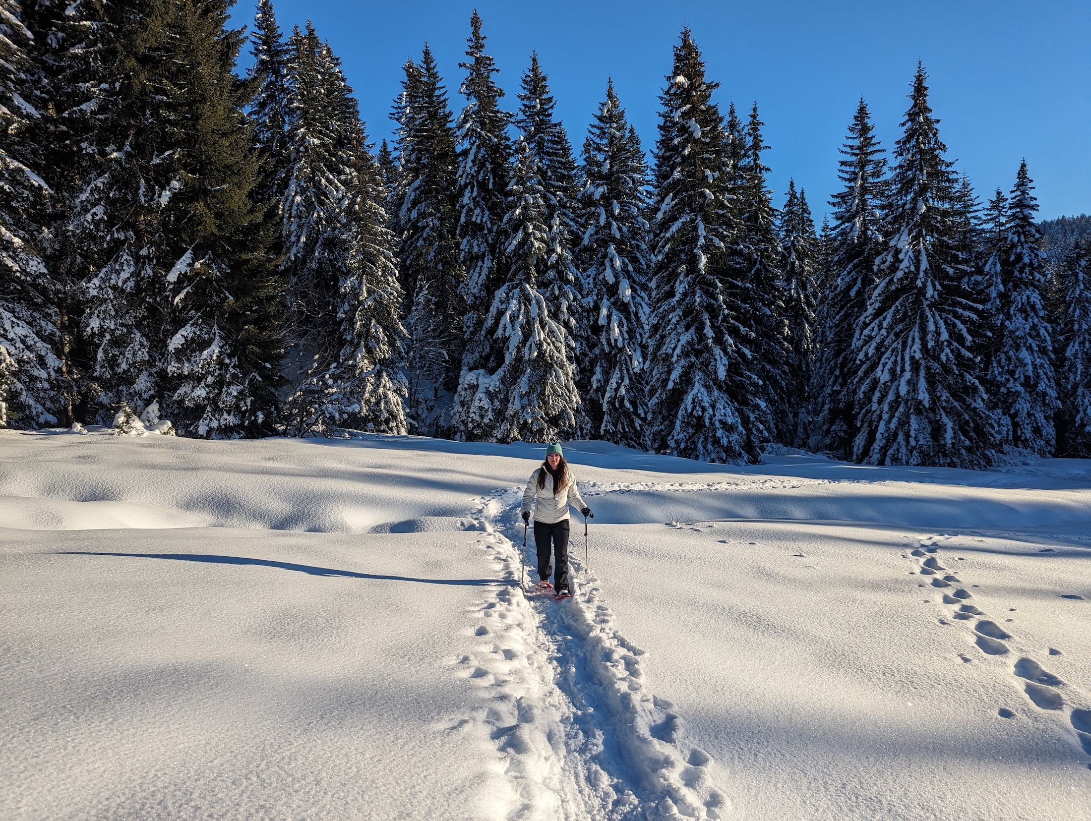 Iedere wintersporter houdt toch van dit plaatje?