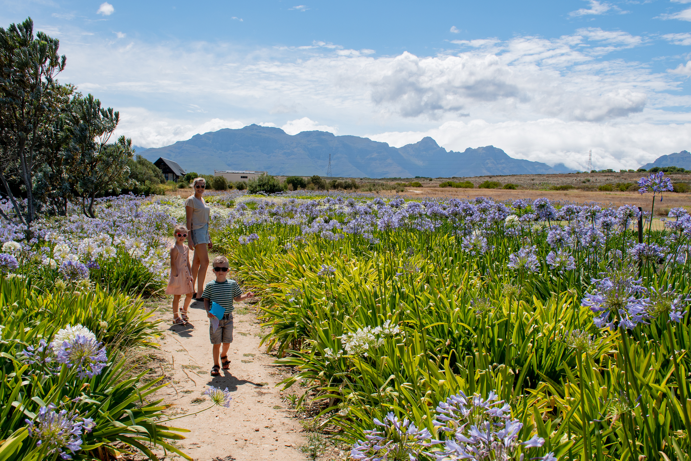 De omgeving van Stellenbosch is echt een plaatje