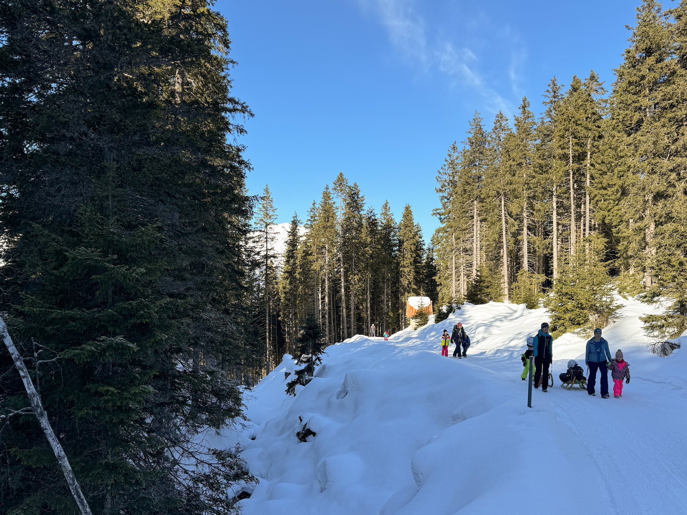 Met kids in het Stubaital? Neem dan de slee mee naar Mieders.