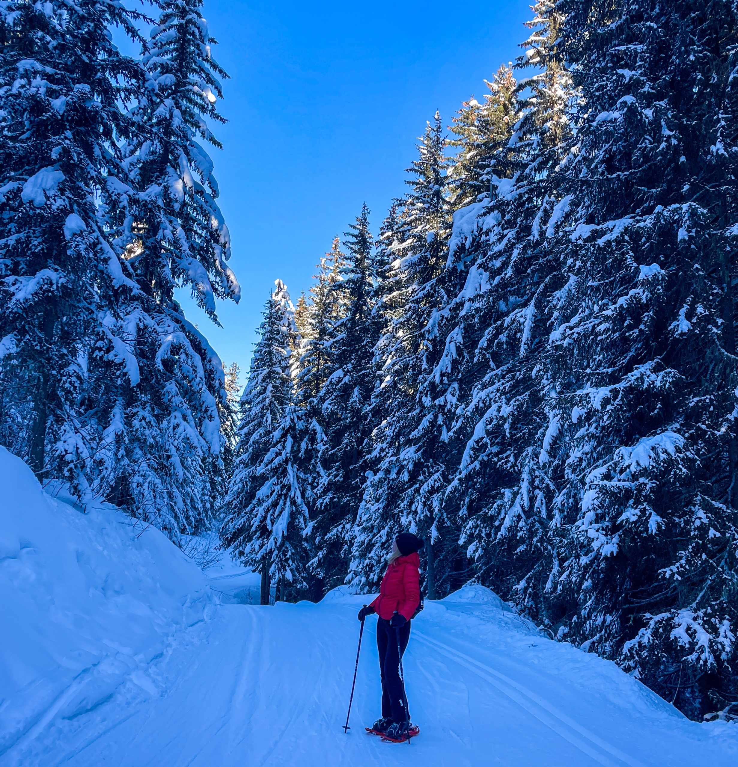 Sneeuwschoenwandelen in de omgeving van Brides-les-Bains