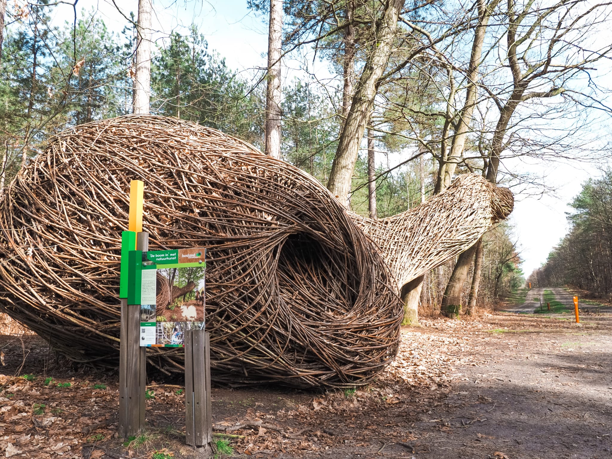 Kunstinstallatie 'De Boom In' groeit letterlijk tussen de bomen