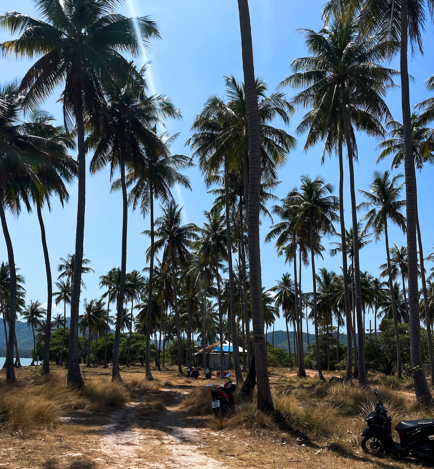 Ga lekker scooteren op Koh Yao Yai en ontdek de allermooiste strandjes