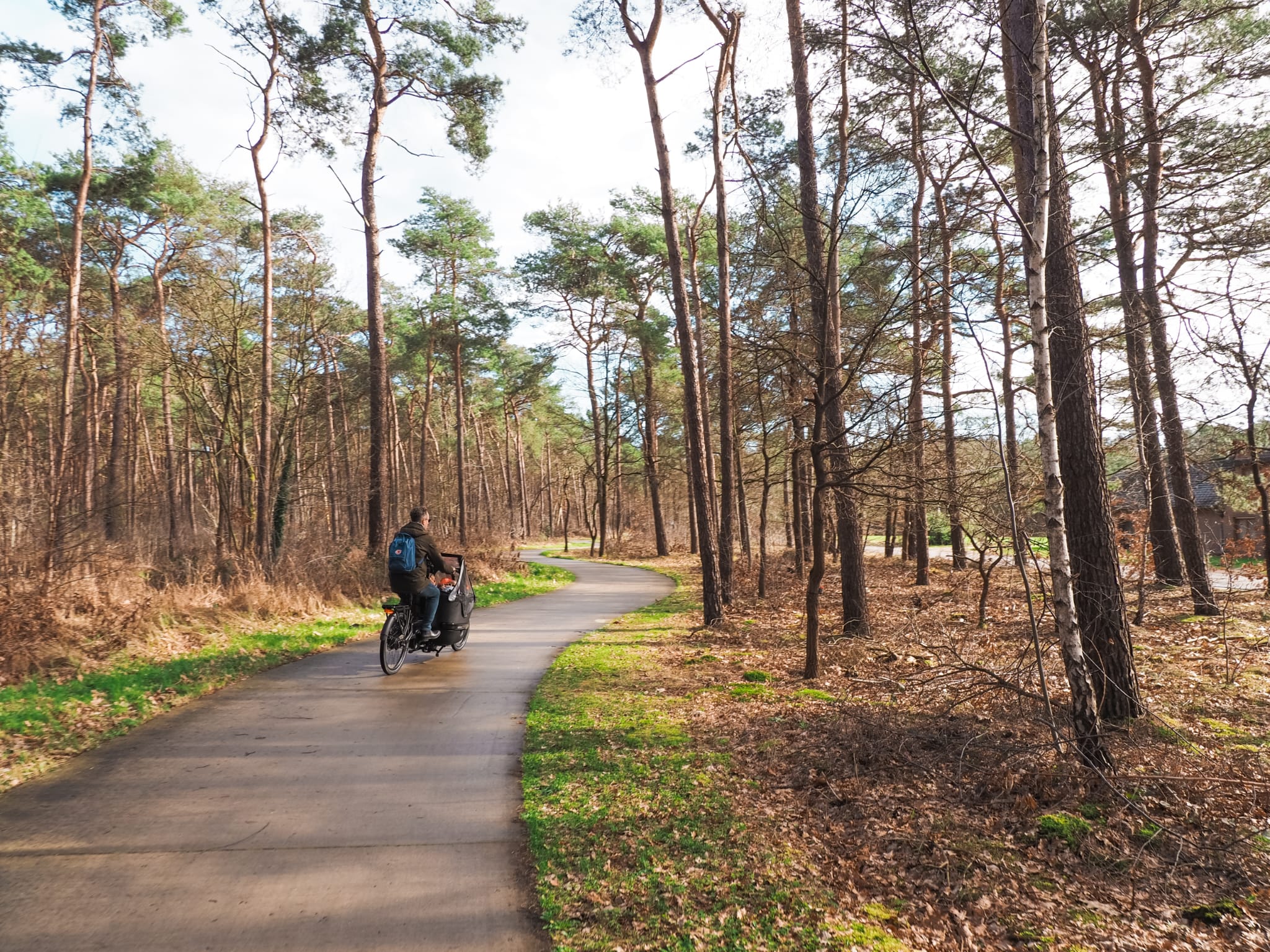 Fietsen over geasfalteerde fietspaden door Nationaal Park Bosland