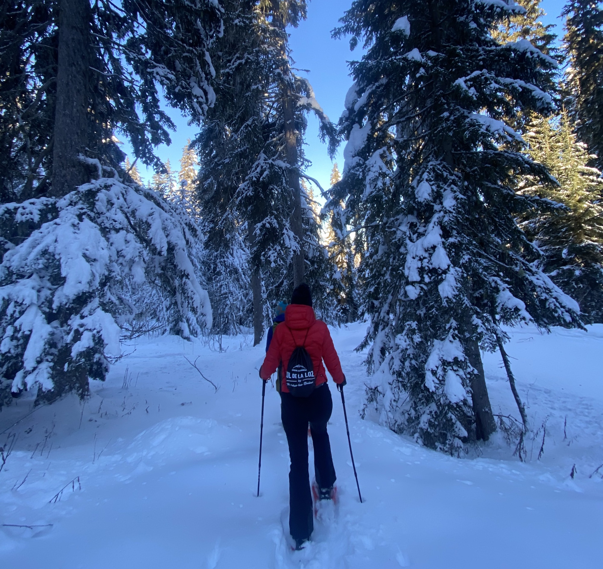 Sneeuwschoenwandelen in de bossen rondom Méribel