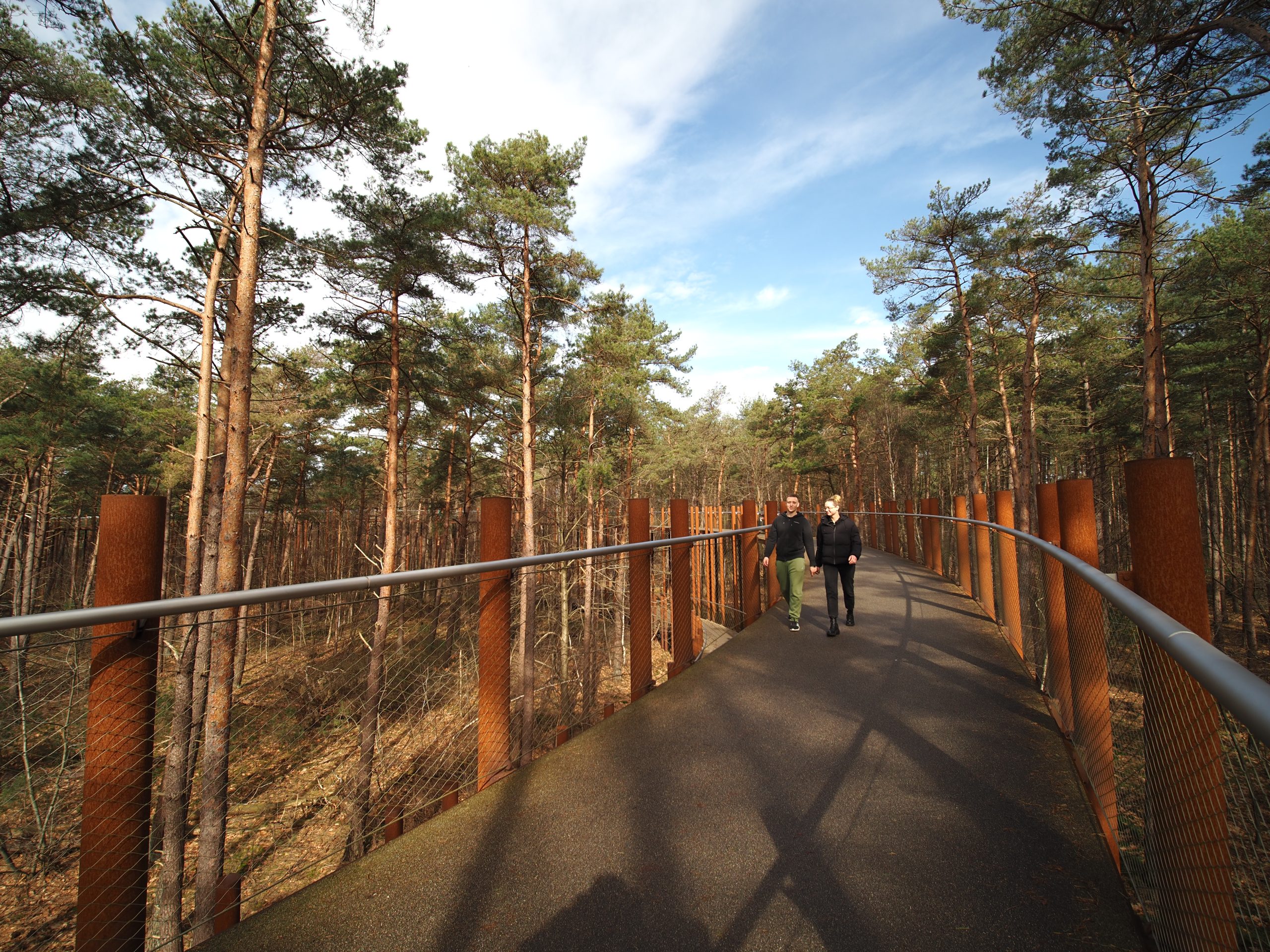 Wandel of fiets over het cirkelvormige pad door de bomen