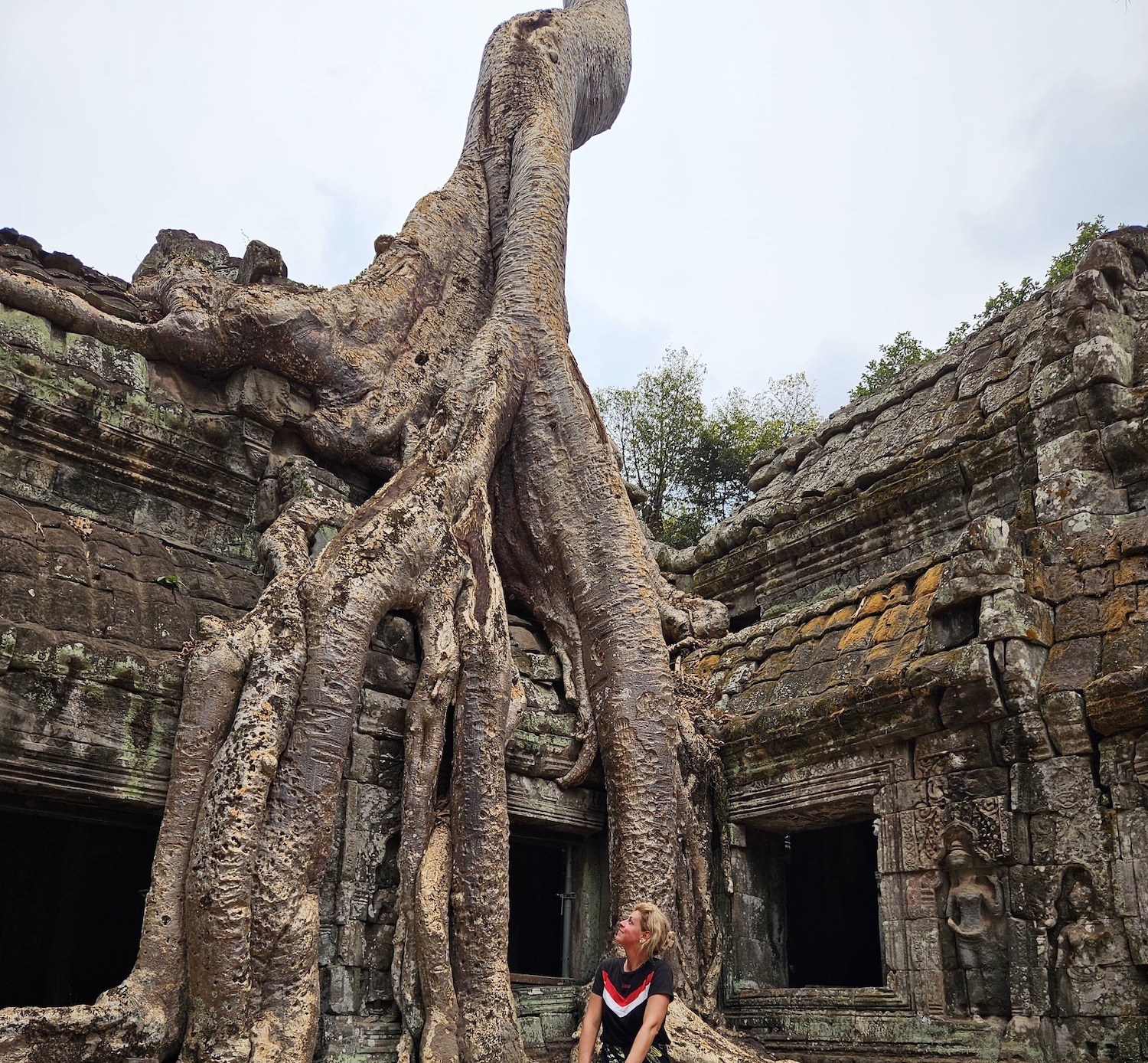 De tempels van Ta Phrom zijn behoorlijk overwoekerd door de jungle.