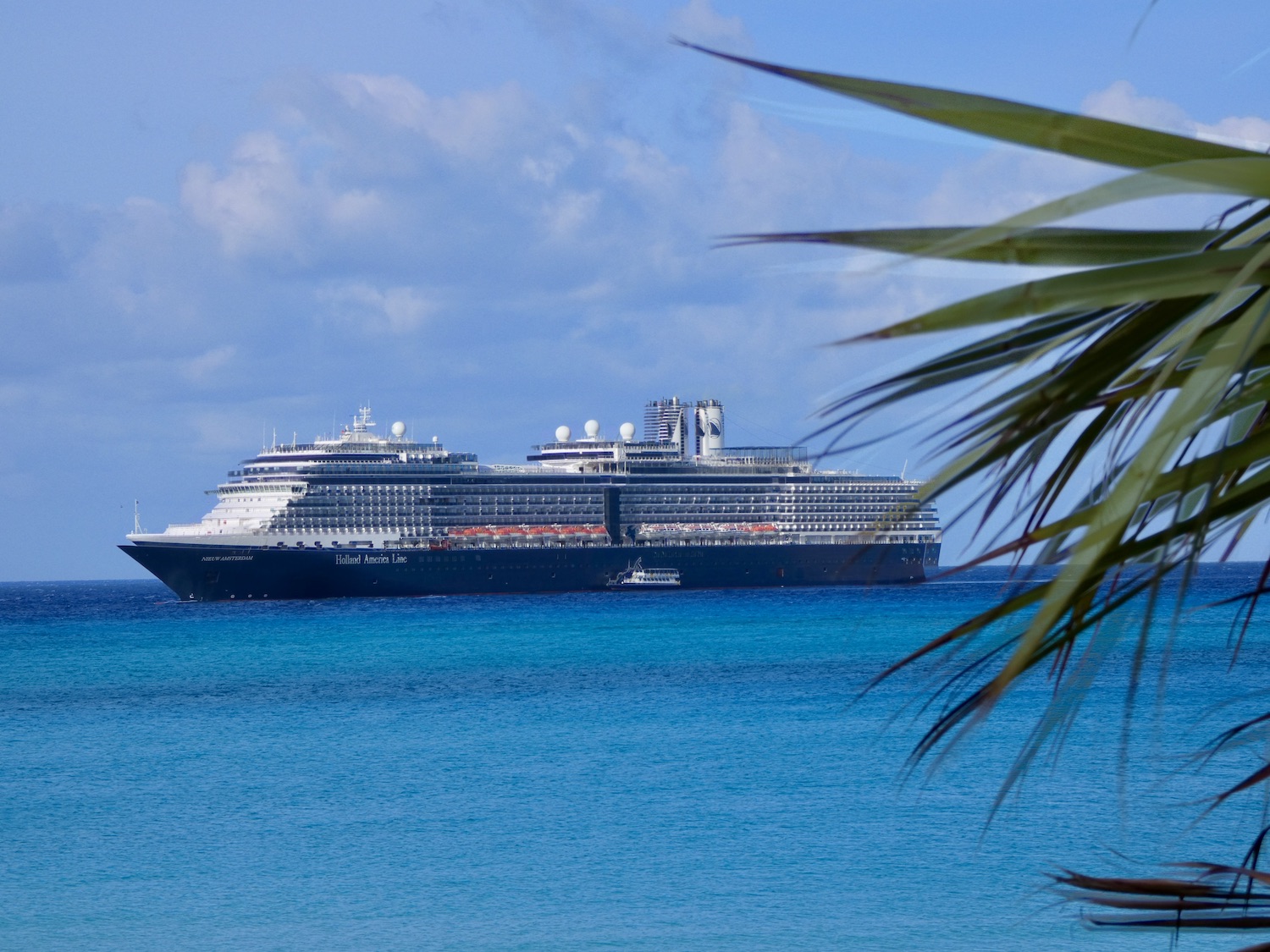 De Nieuw Amsterdam in vol ornaat