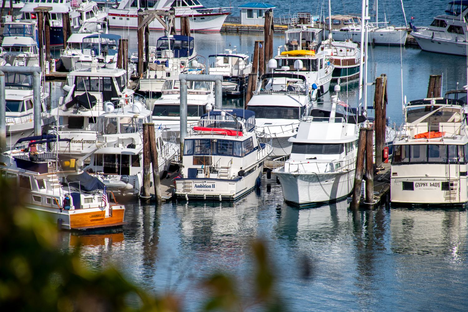 Friday Harbor haven is een prachtige vakantieplek