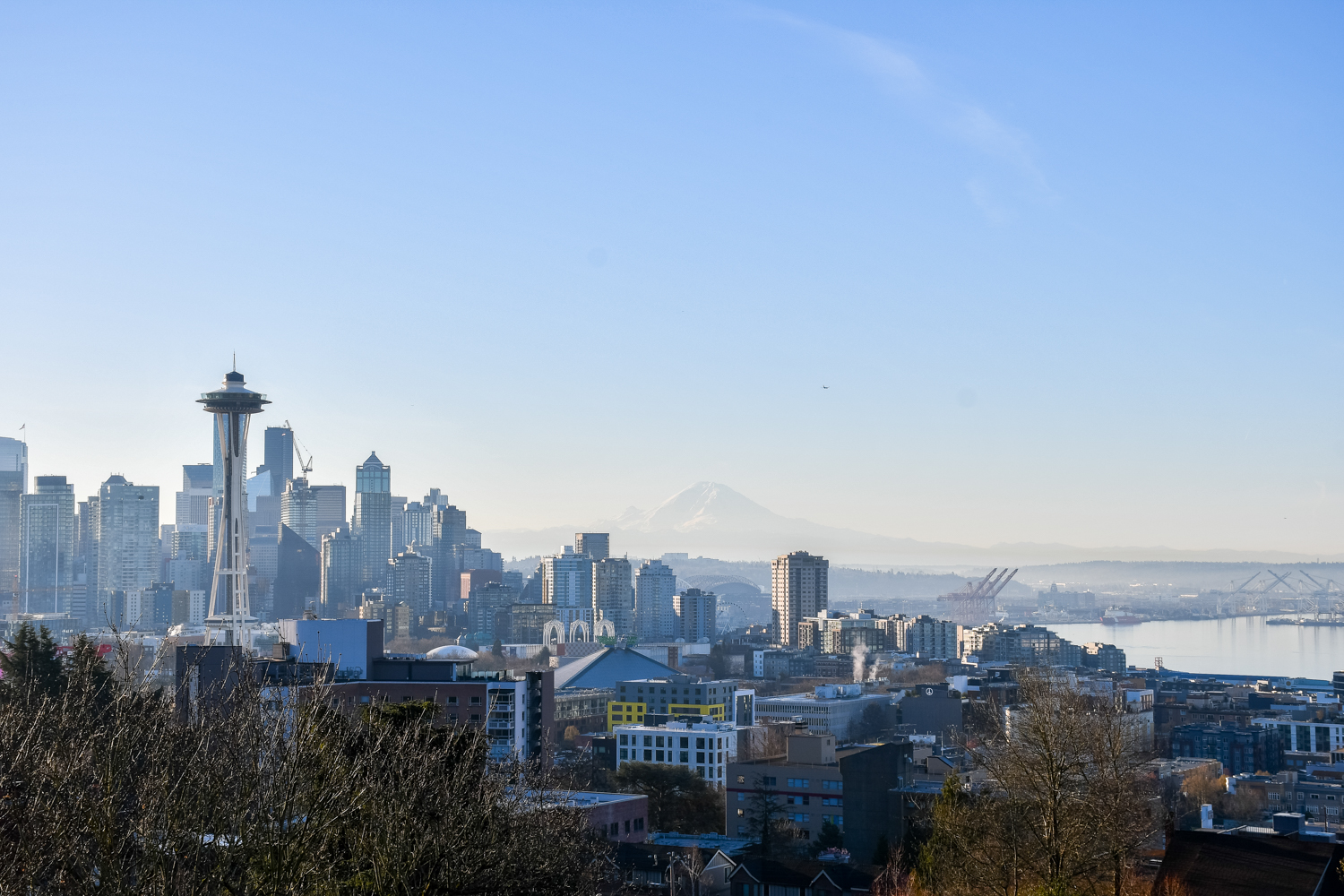 Uitzicht op de Space Needle vanuit Kerry park