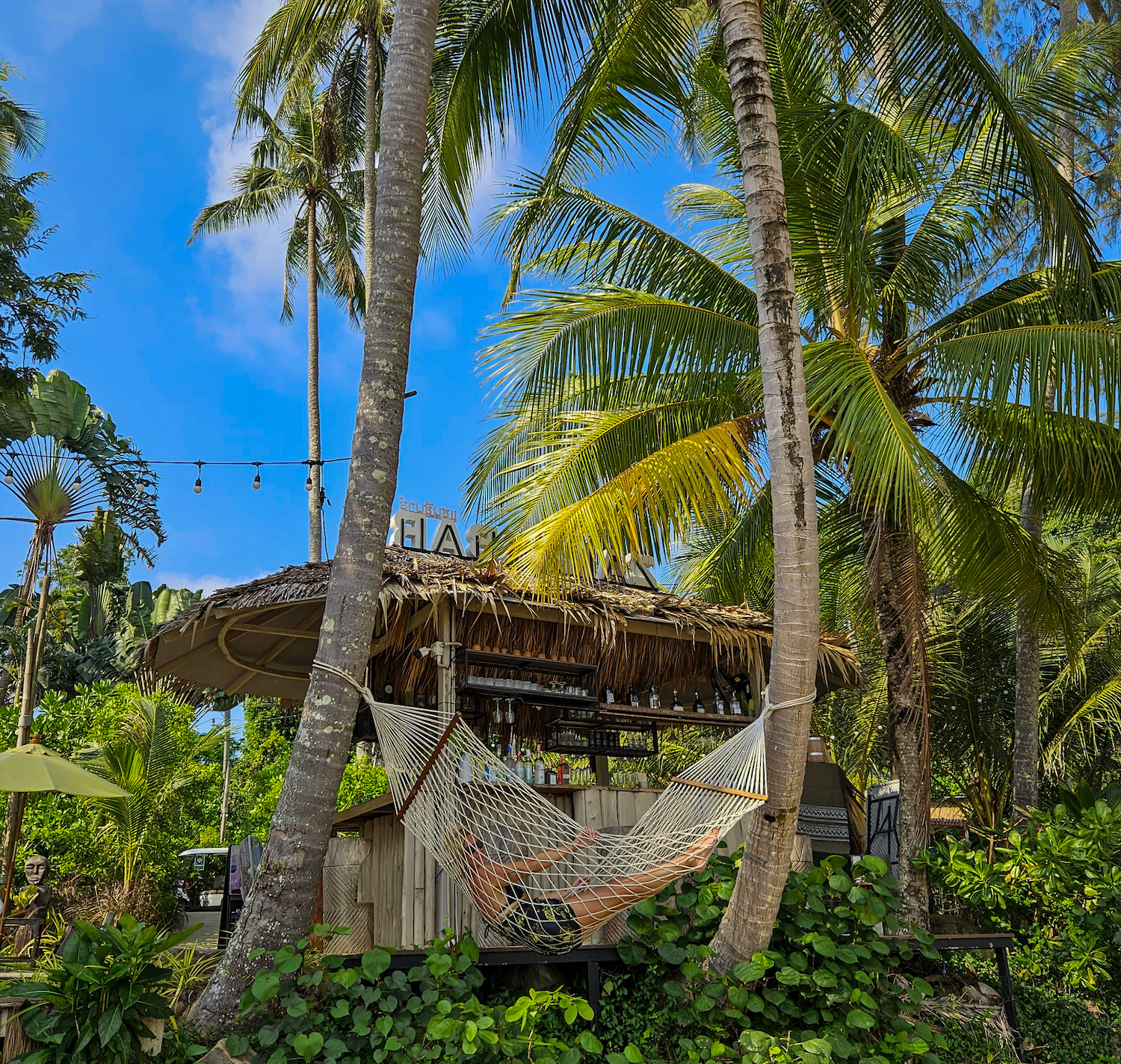 De Zanzii Bar ligt aan het strand, is omringd door palmbomen en je kunt er relaxen in een hangmat