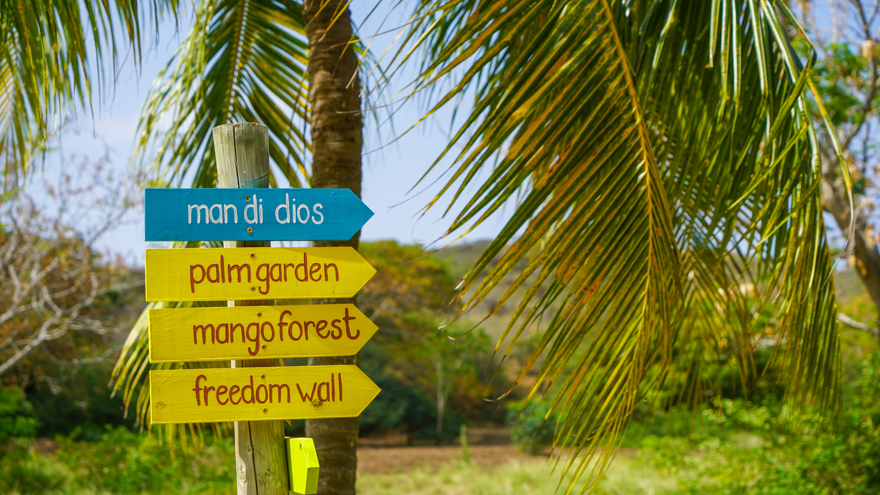 Laat je door een gids rondleiden in het mango bos en langs de freedom wall