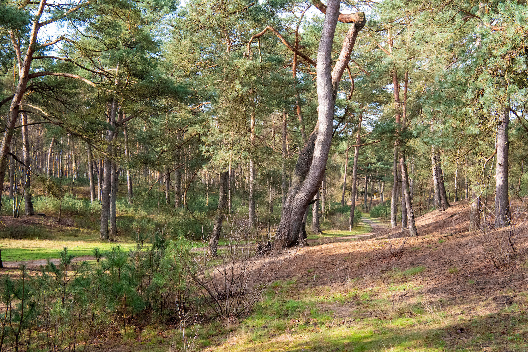 Binnen één minuut sta je in de natuur