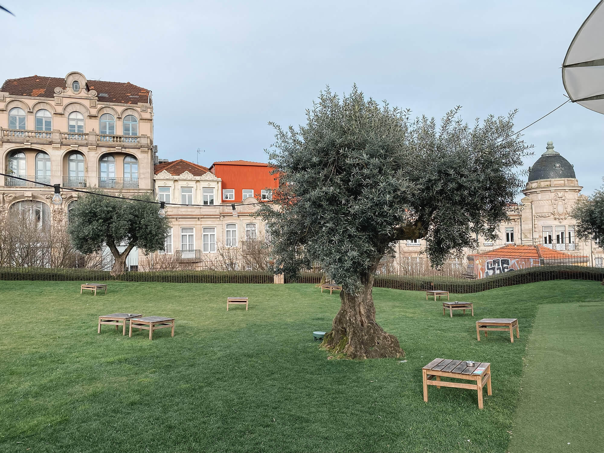 Drink portonics in het gras bij Base op Praça de Lisboa