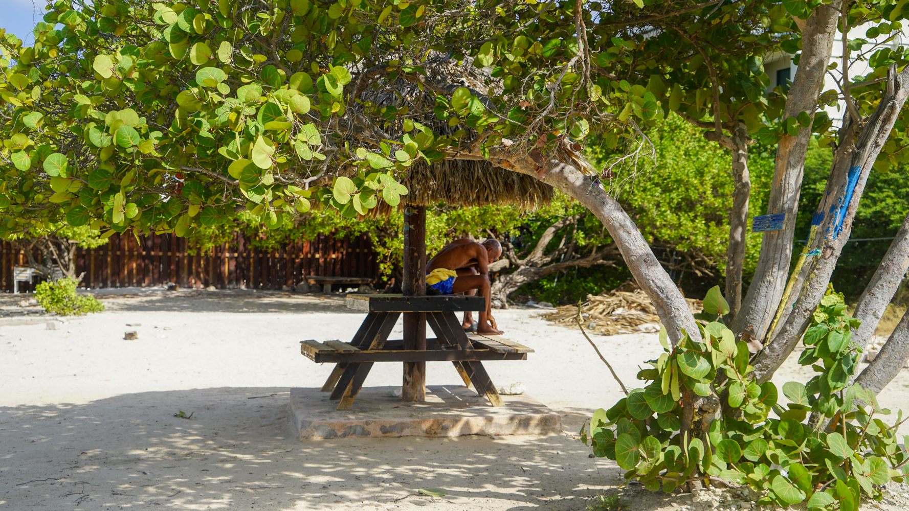 Curaçao heeft het allemaal en dan ook nog de constante temperatuur van bijna 30 graden, het hele jaar rond