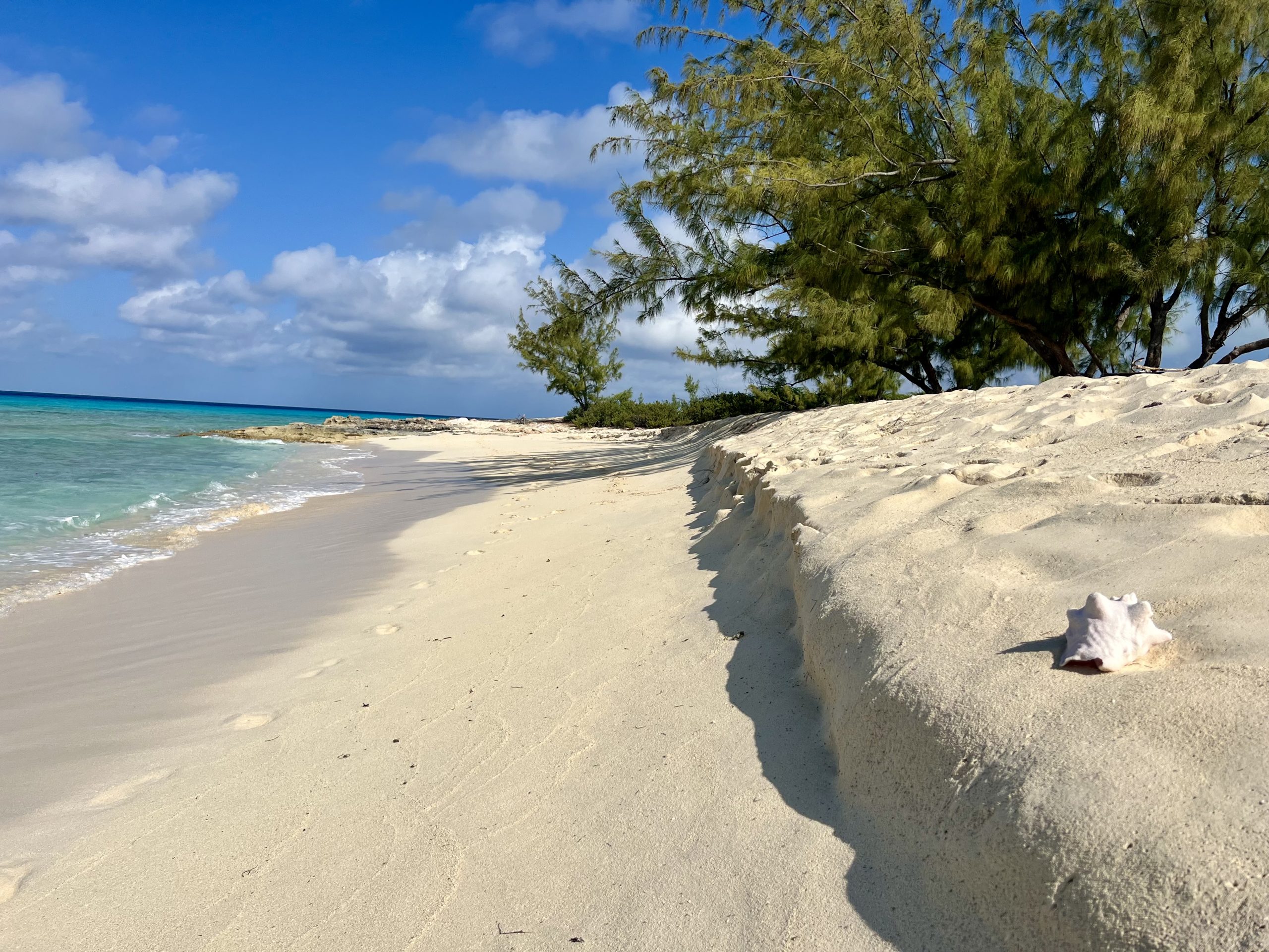 Het mooiste strand van Grand Turk. Wij begrijpen wel waarom!