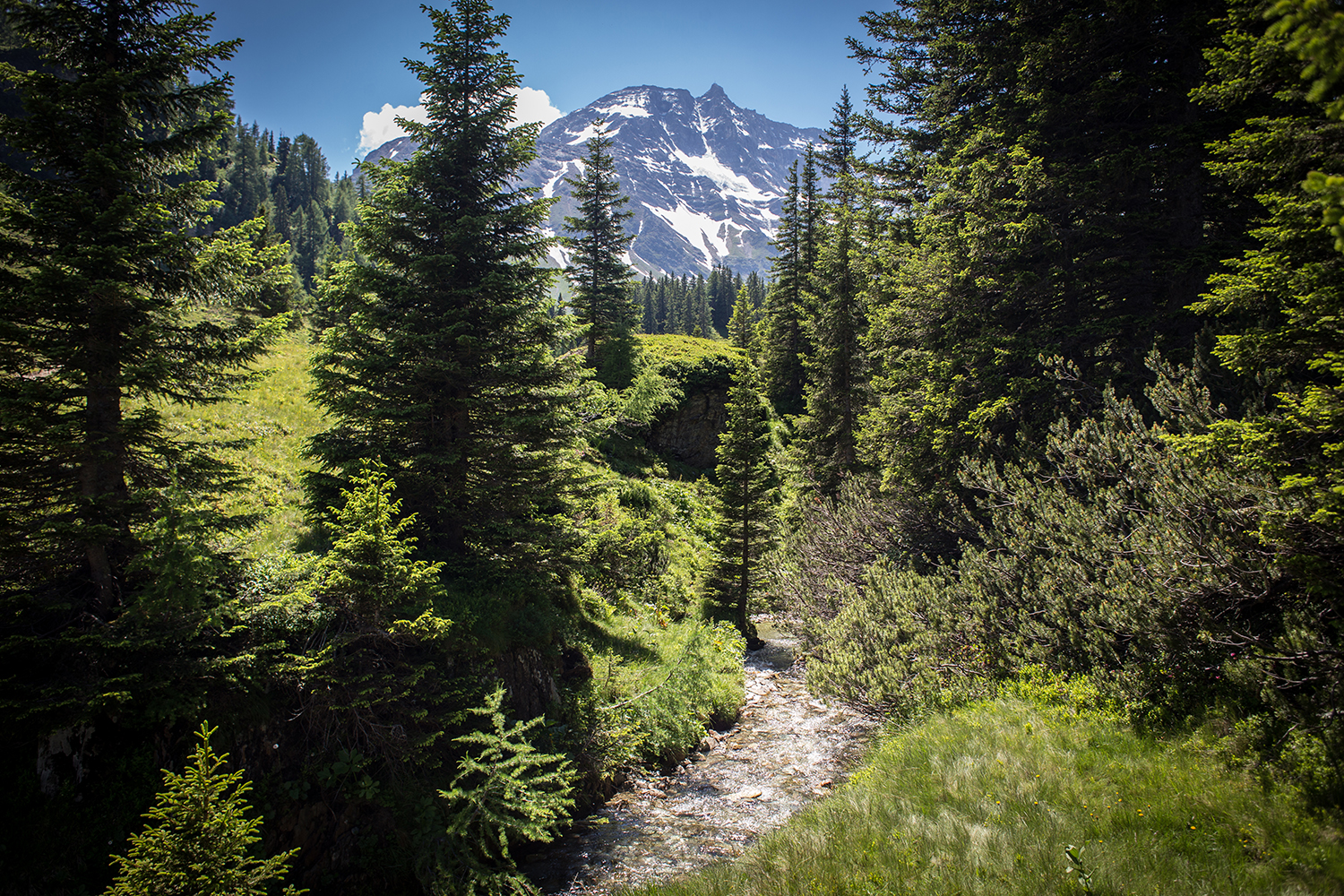 Het prachtige natuurlandschap van Nationalpark Hohe Tauern