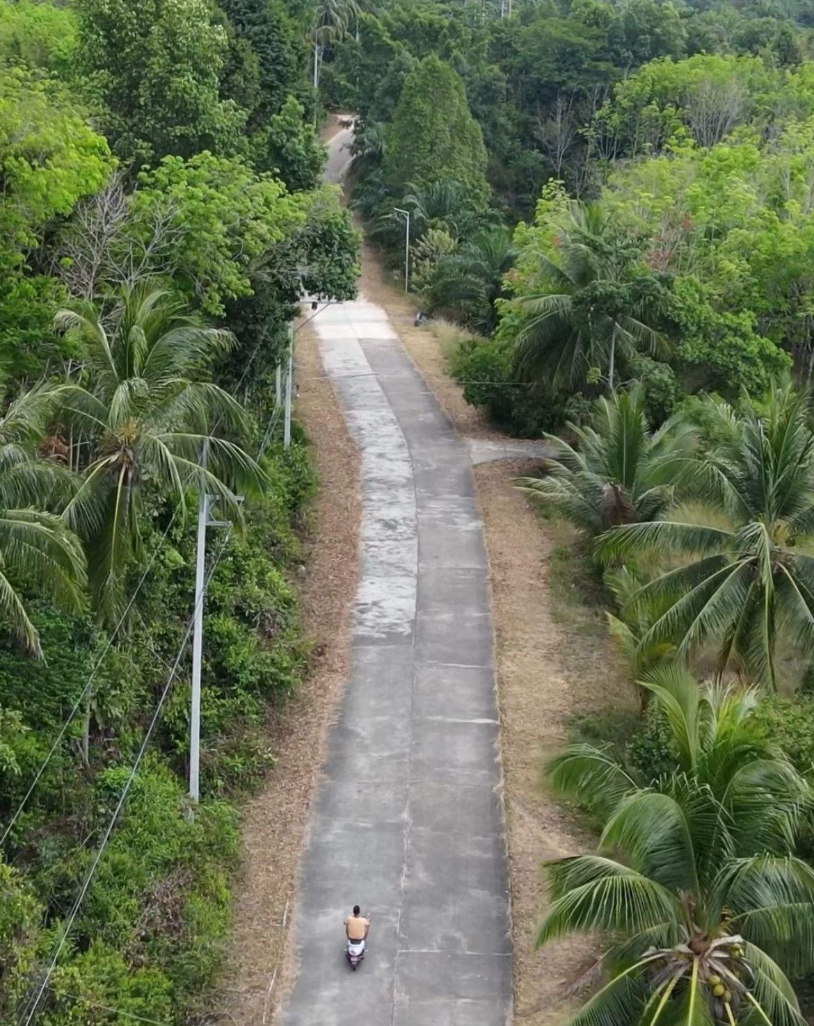 Ervaar het ultieme gevoel van vrijheid als je op de scooter door Thailand rijdt!