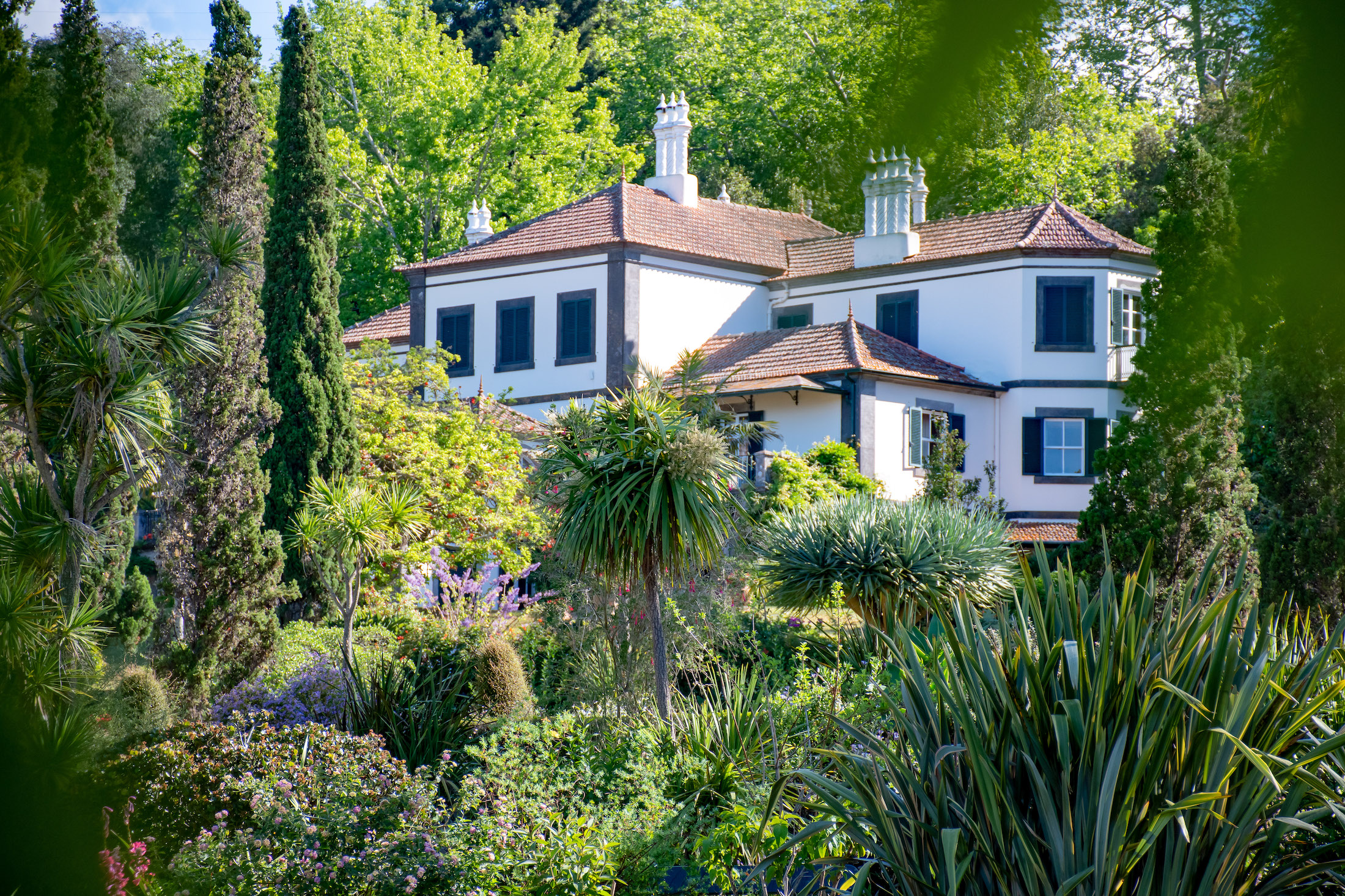 Wat een prachtige plek is Palheiro Gardens, hier zouden we wel kunnen wonen!