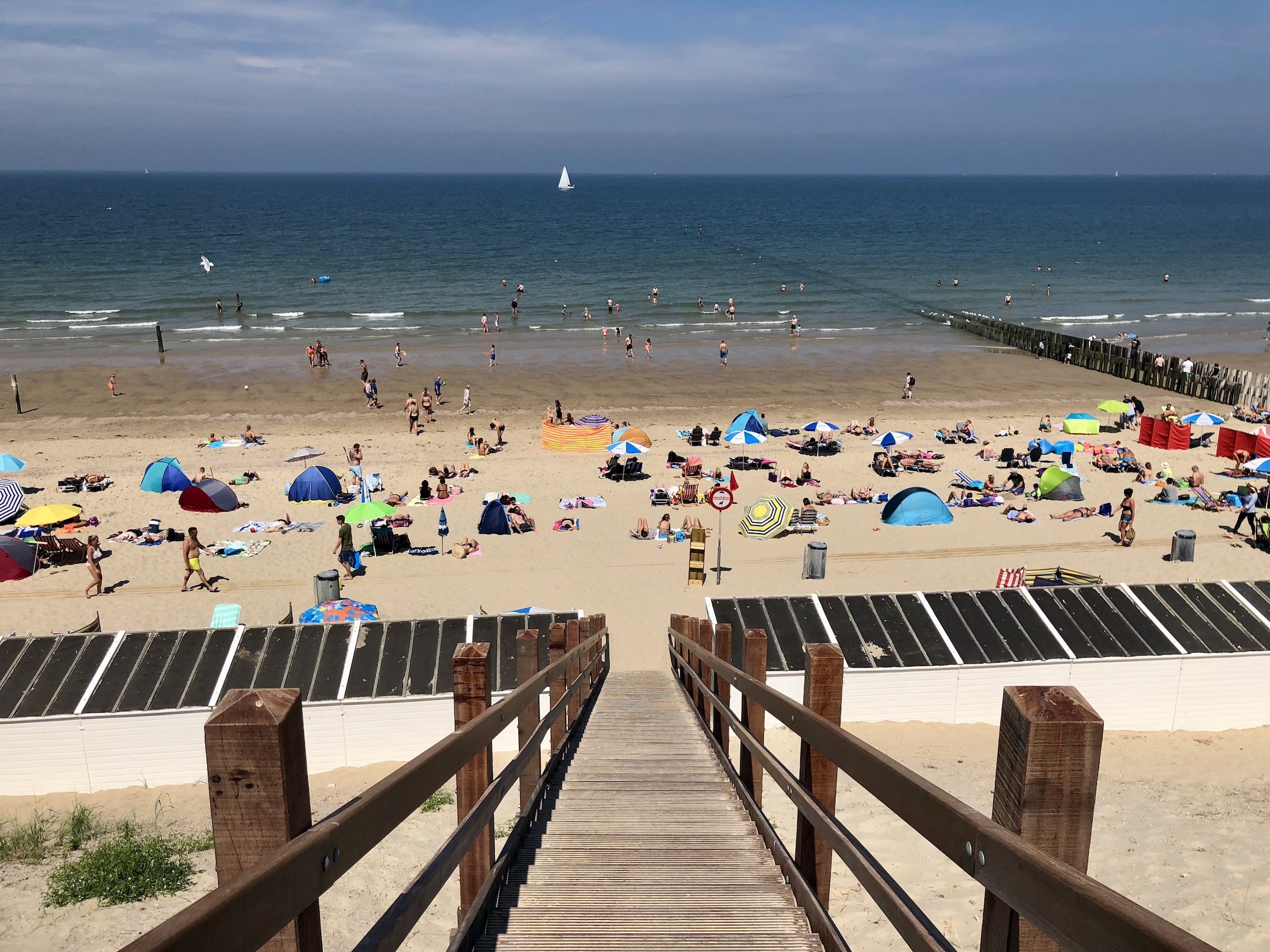 Genieten aan de Nederlandse kust in de zomer