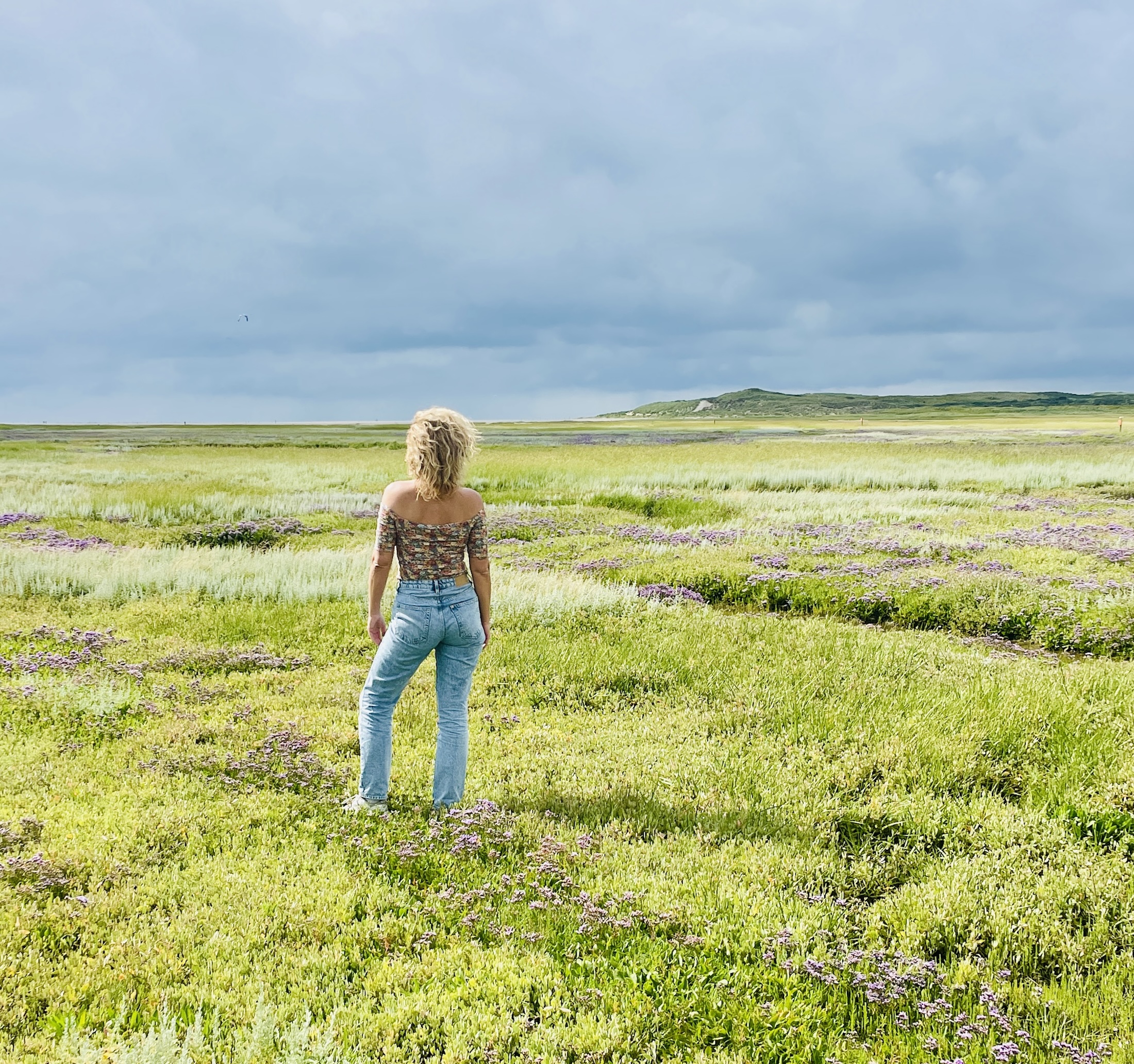 Wandelen en op zoek naar lepelaars in de Slufter