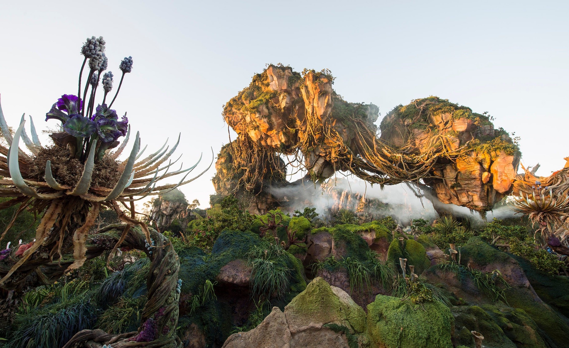 pandora-the-world-of-avatar