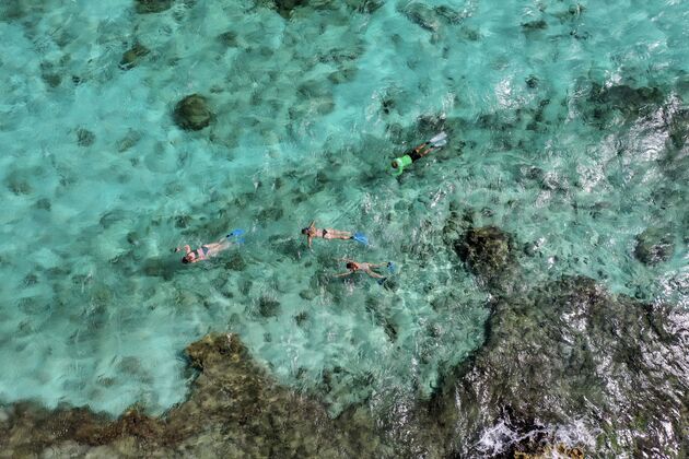 Aruba reizen