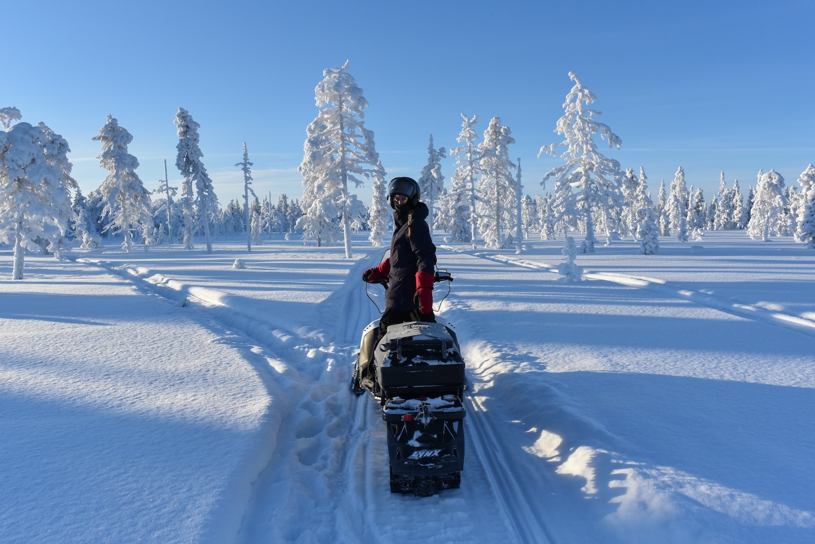 Dit wil je doen in Lapland