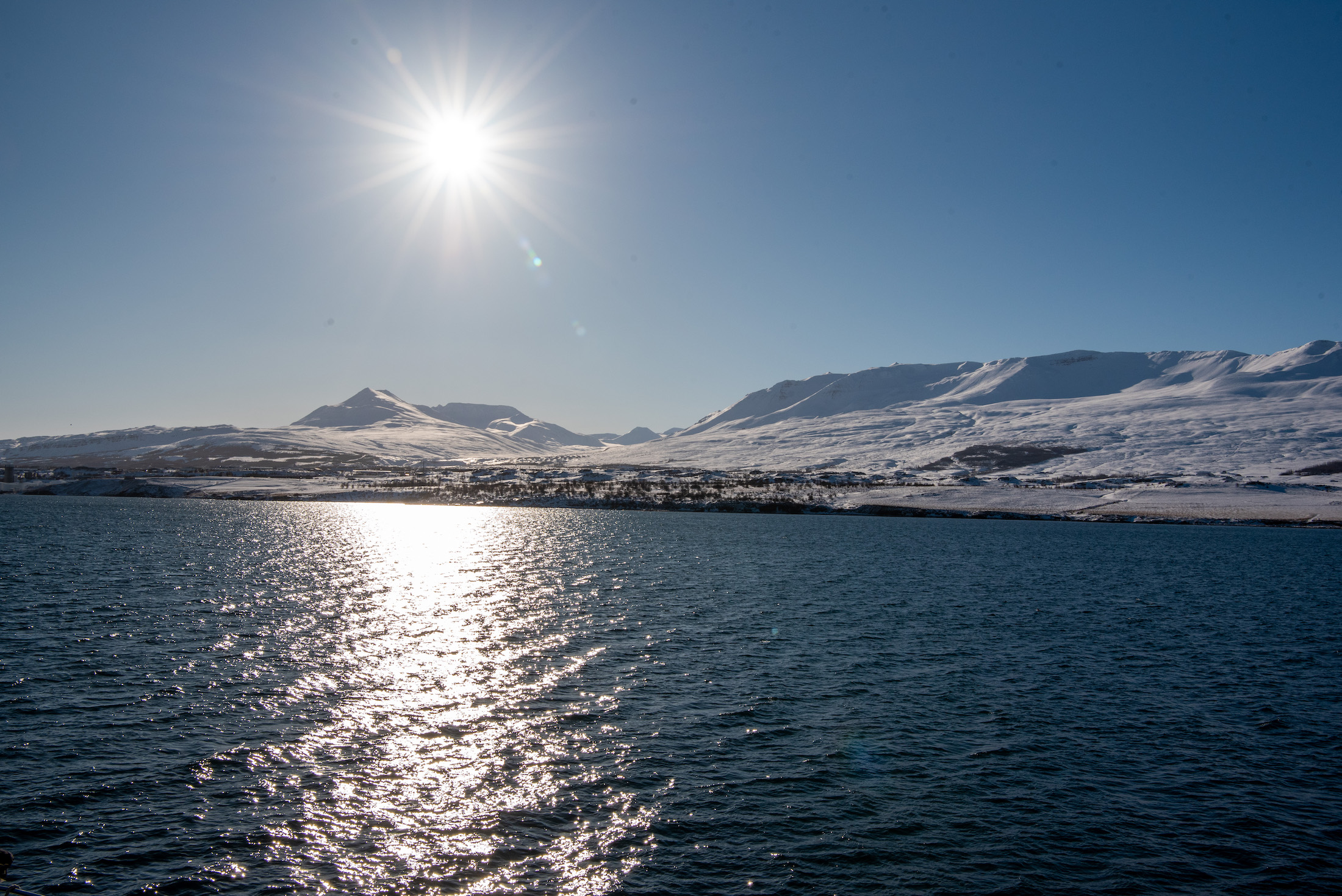 vakanties naar ijsland