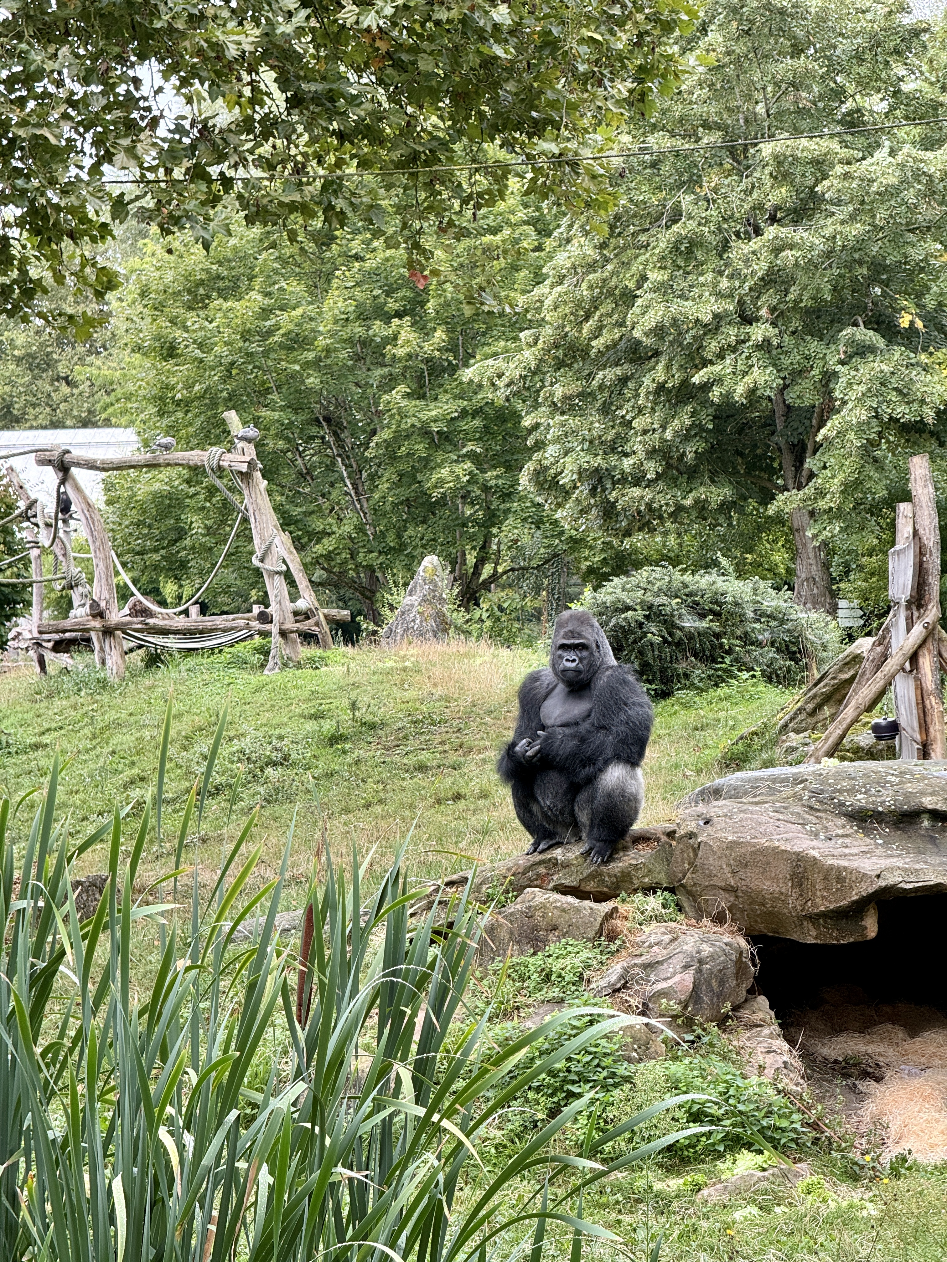 ZooParc de Beauval