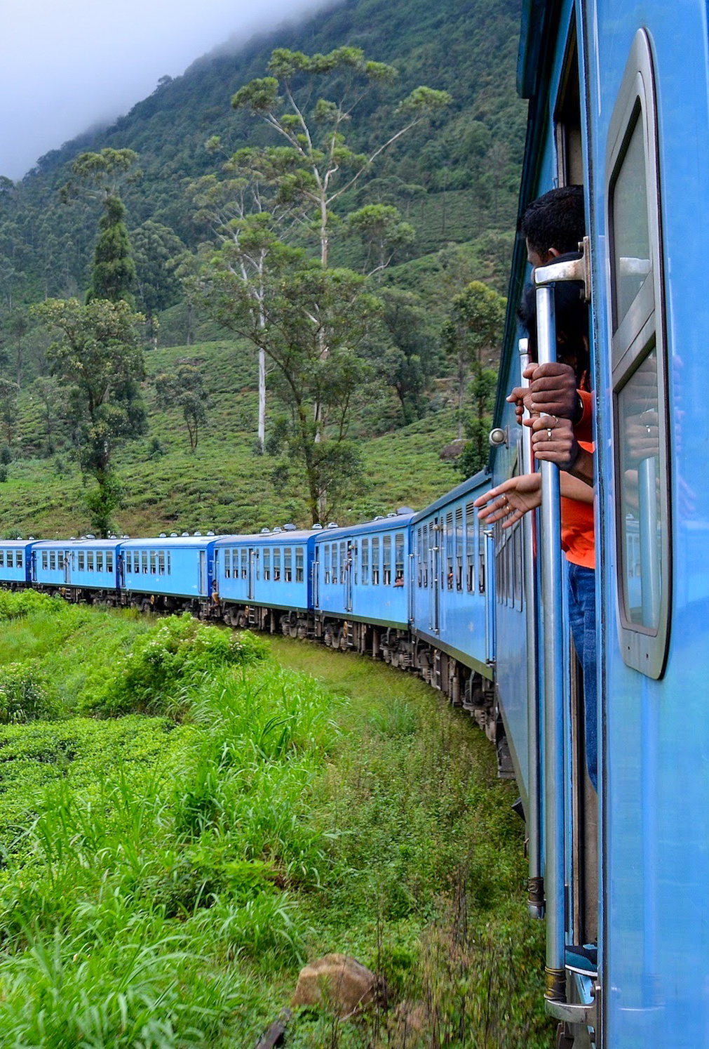 Treinreizen