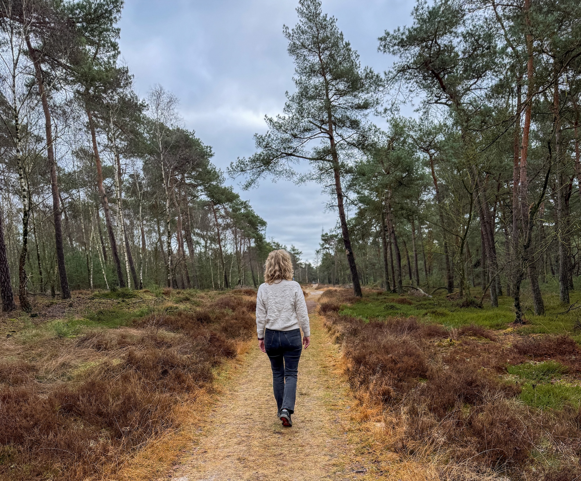 Veluwe tips doen