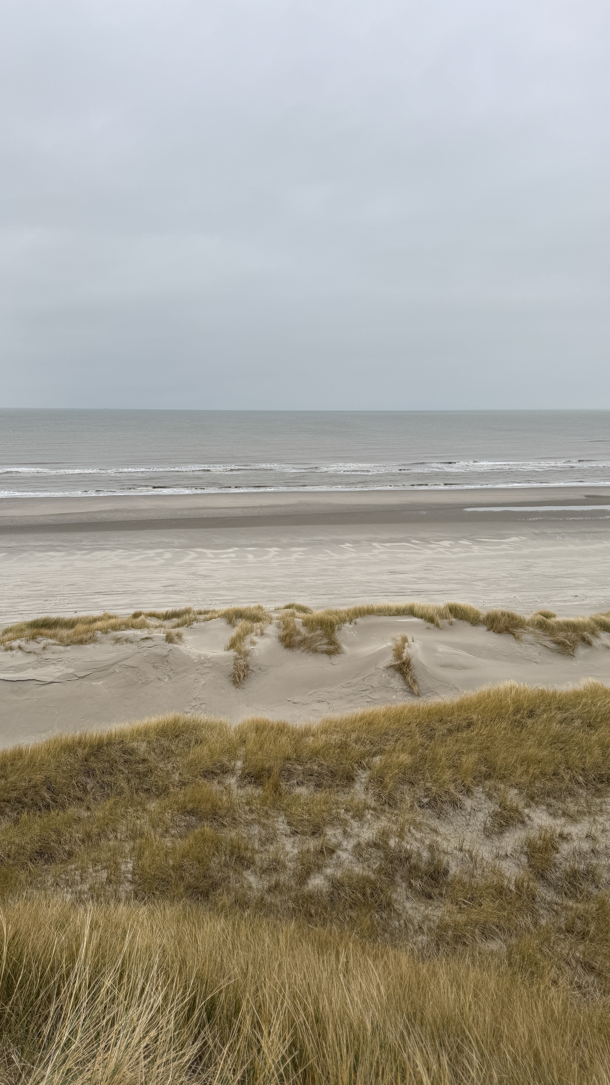 In de duinen van Terschelling mag je bijna overal wandelen. Klim omhoog om de schoonheid van het weidse uitzicht in je op te nemen.