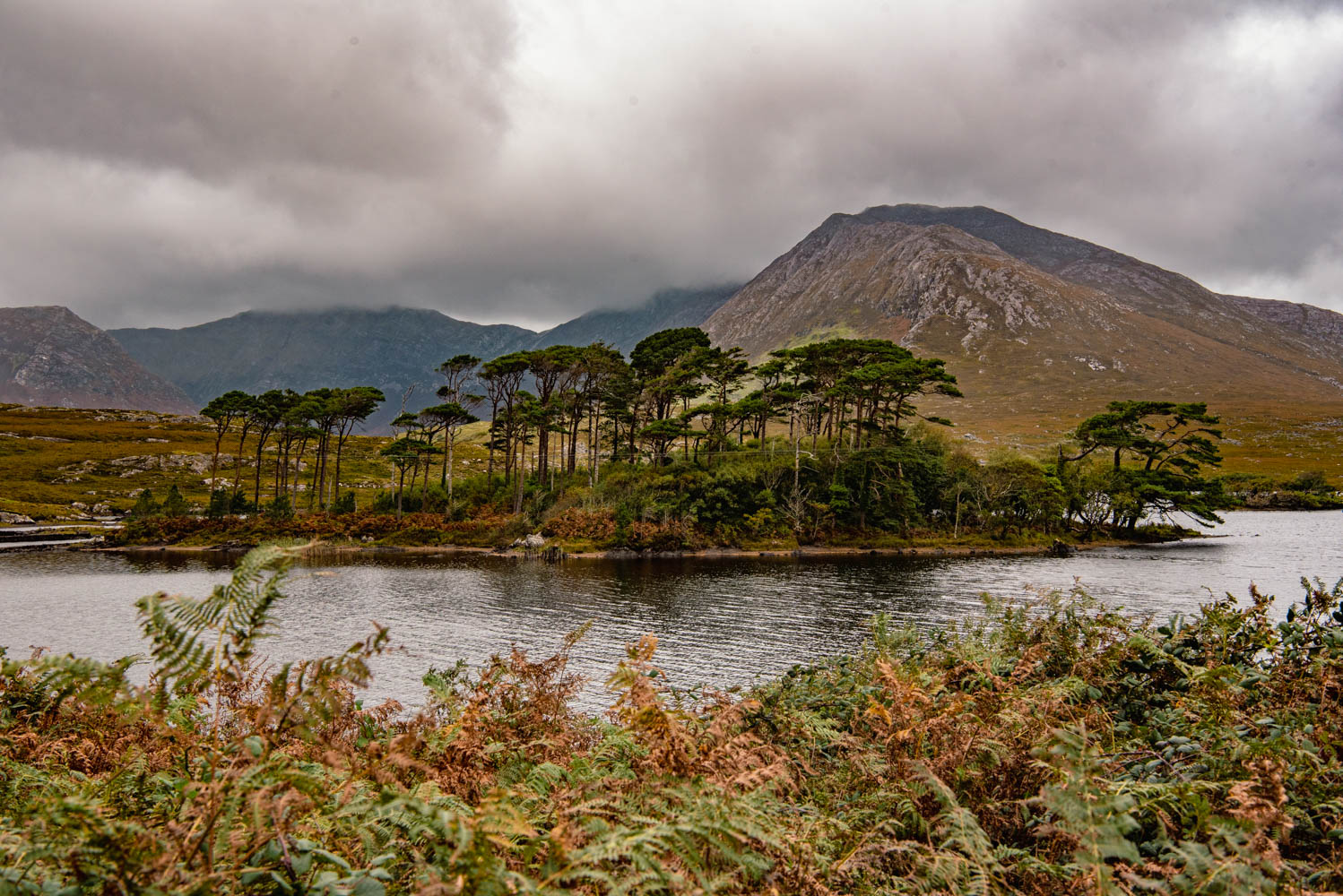 Pine Island