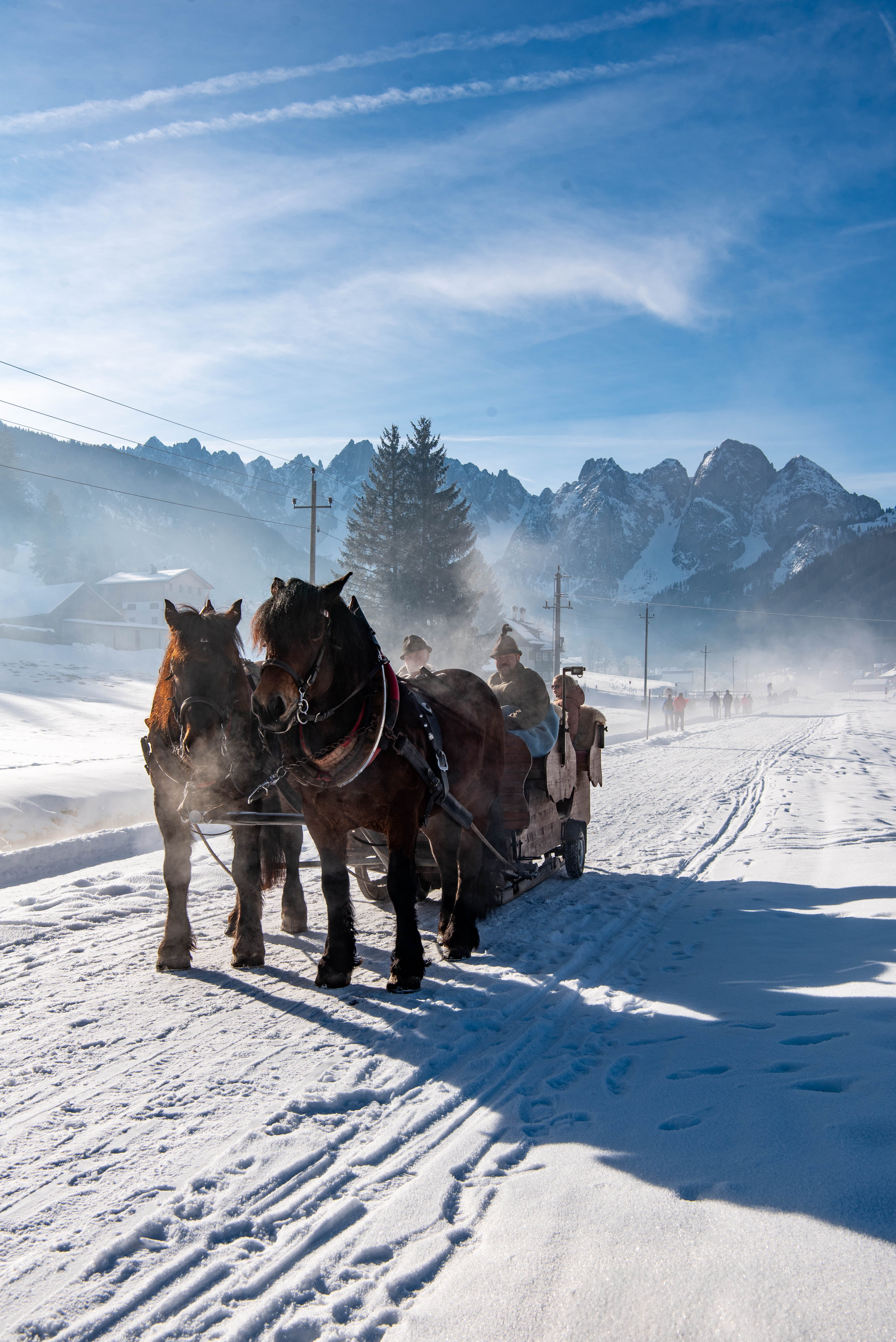Een rit met de arrenslee in Dachstein West