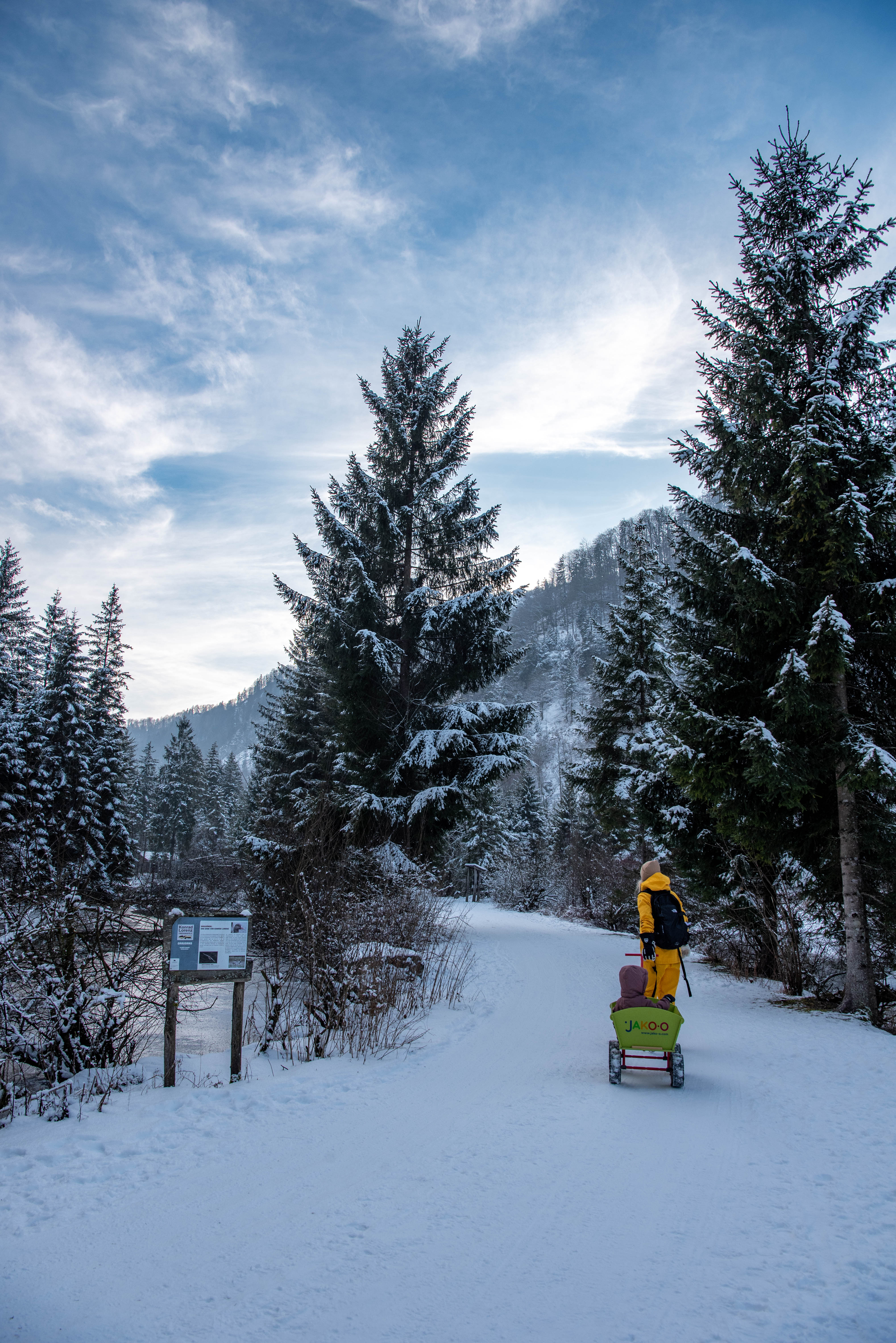 Bezoek een alpendierentuin in de winter