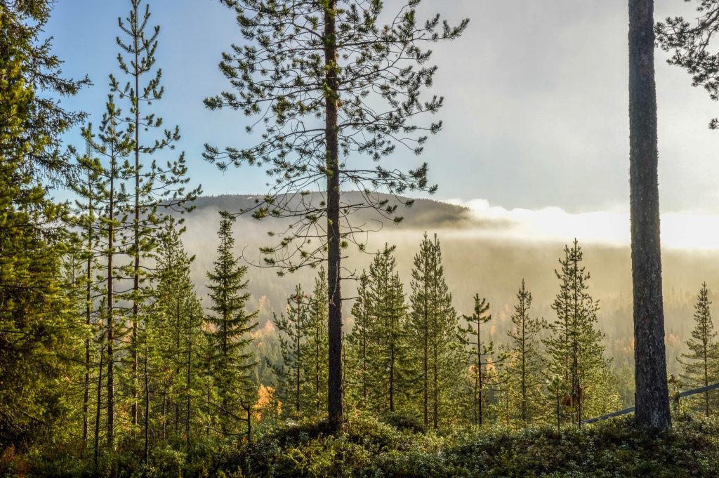 Mystieke landschappen in Fins Lapland