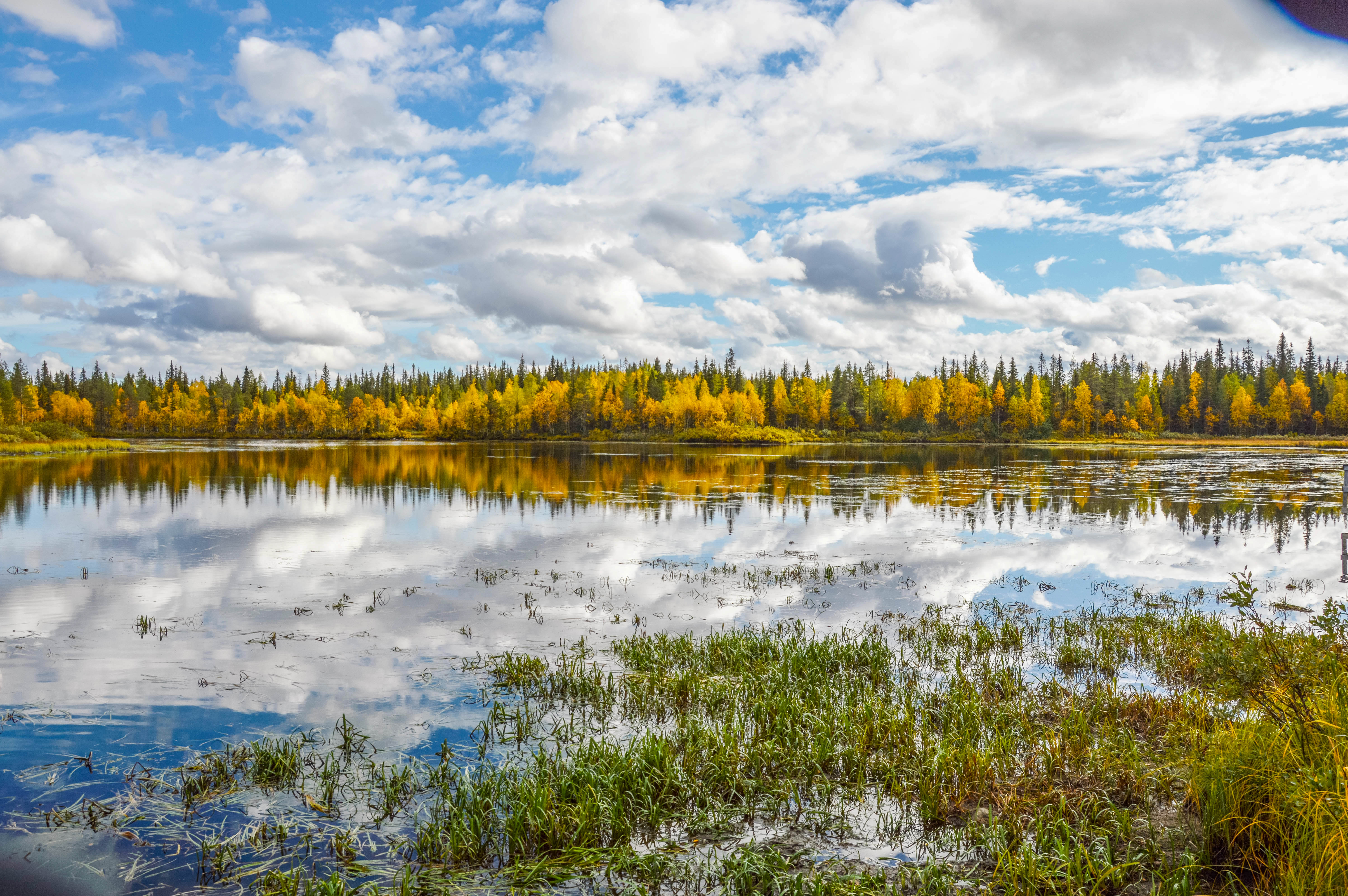Ruska in Finland